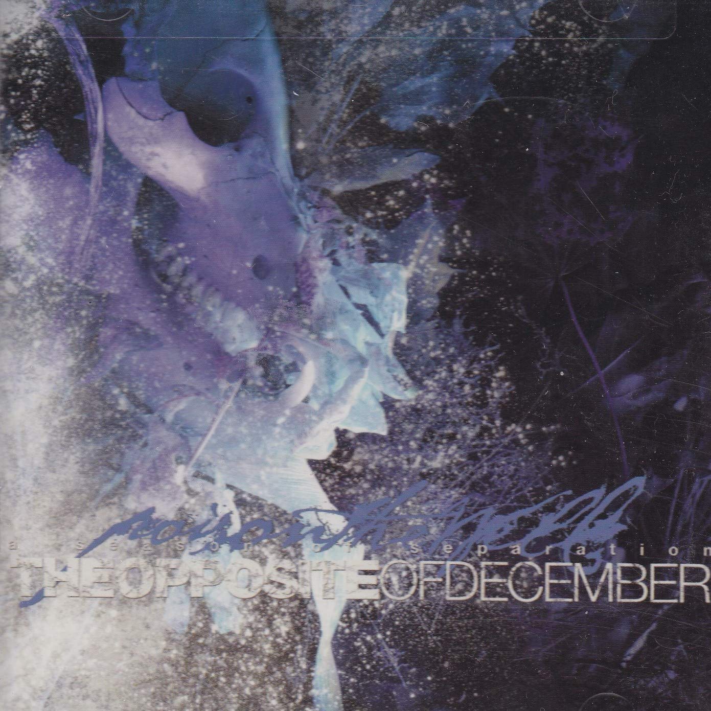 The Opposite of December Alternative & Indie