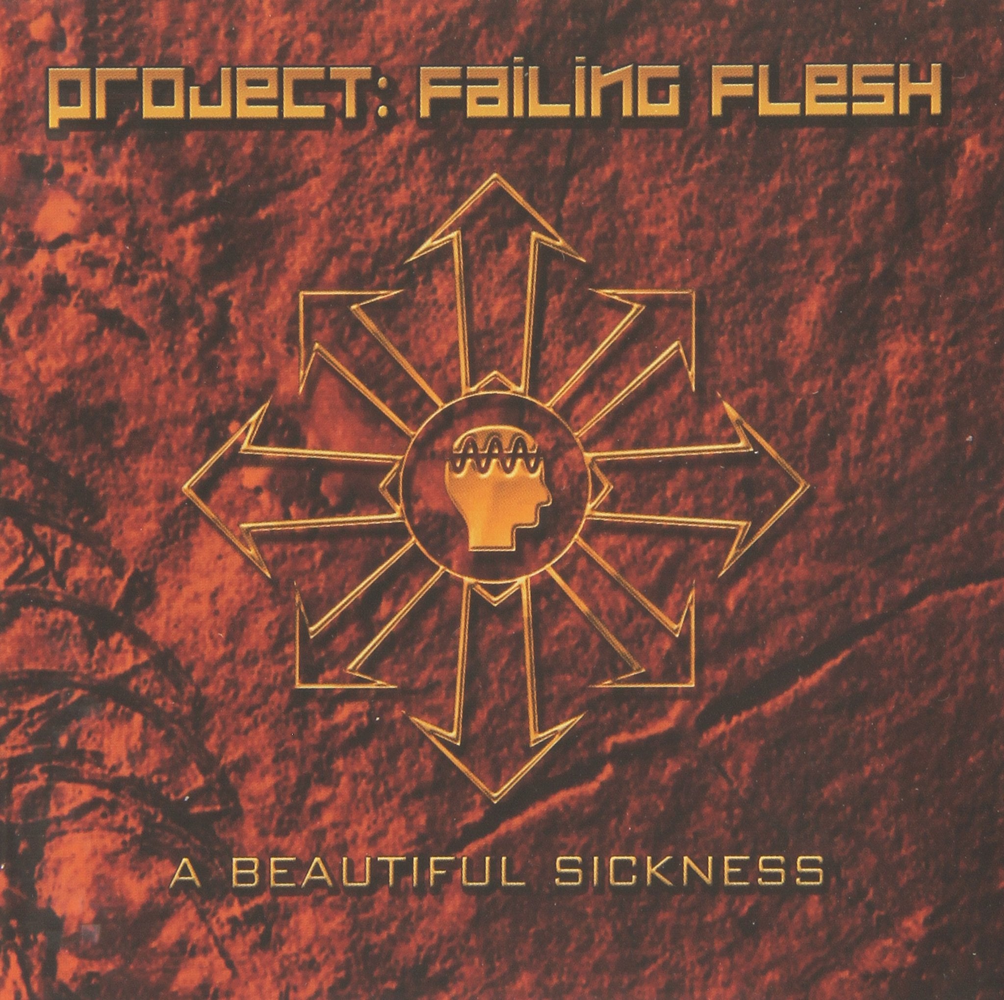 A Beautiful Sickness Metal & Hardrock