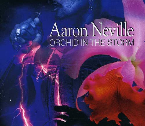 Orchid in the Storm Funk, R&B & Soul