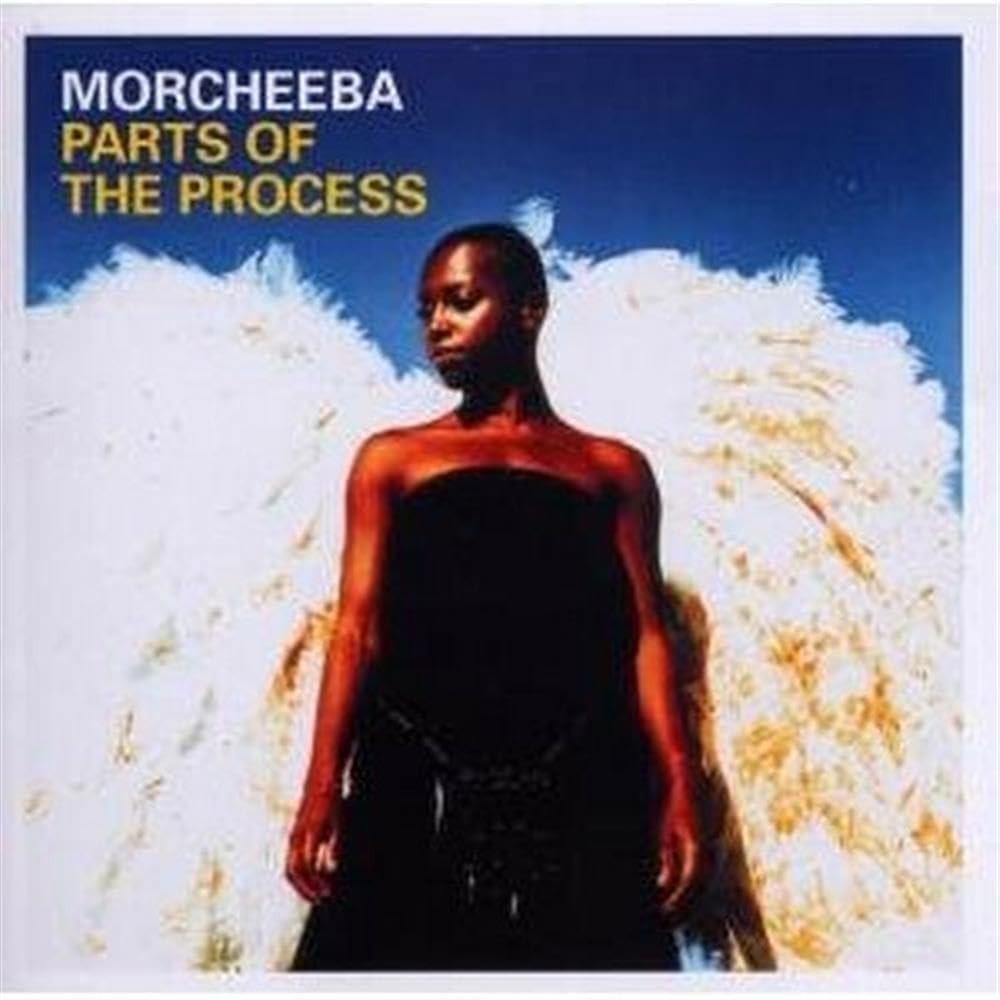 Parts of the Process (Best of) Dance & Electronic