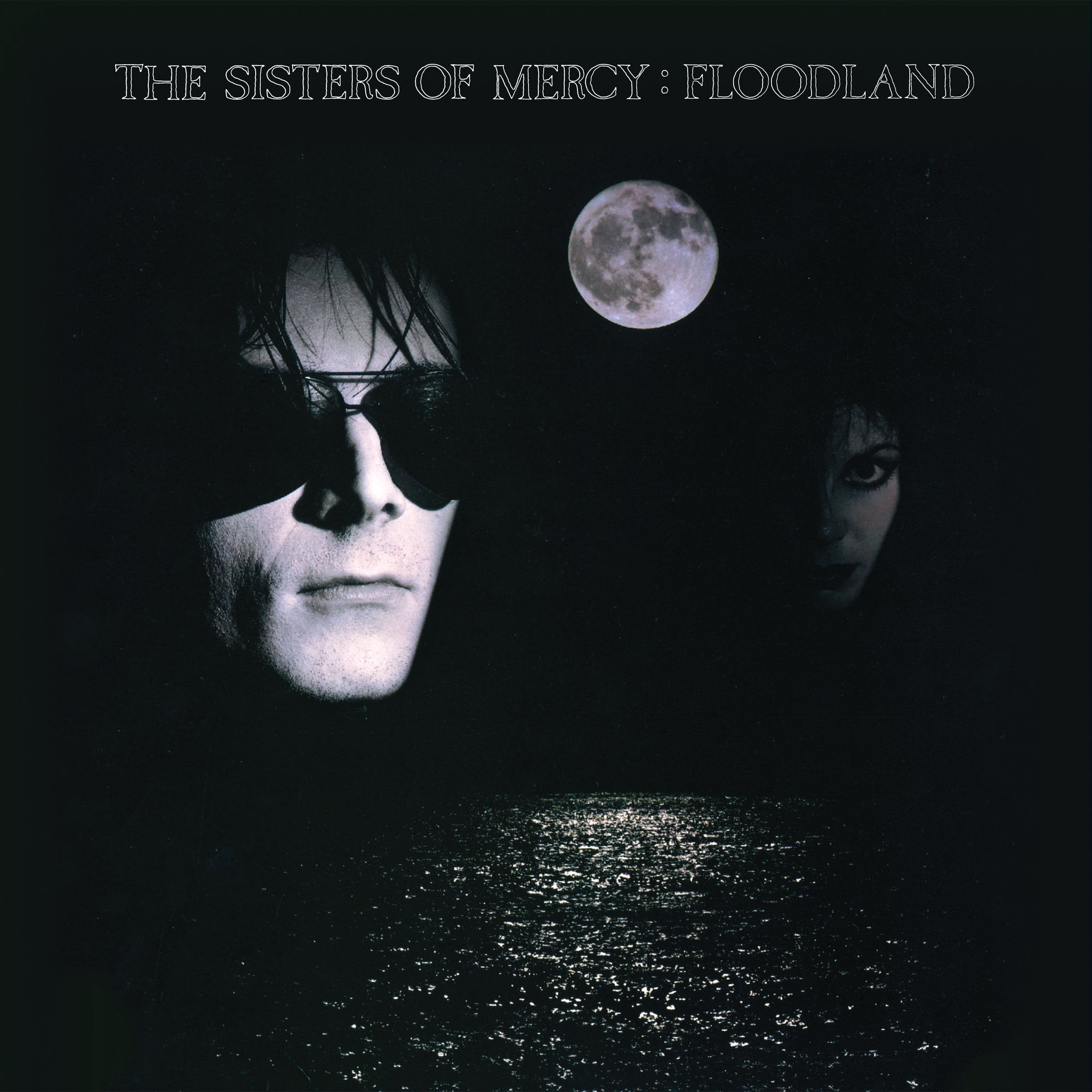 Floodland (Vinyl Box Set) Alternative & Indie