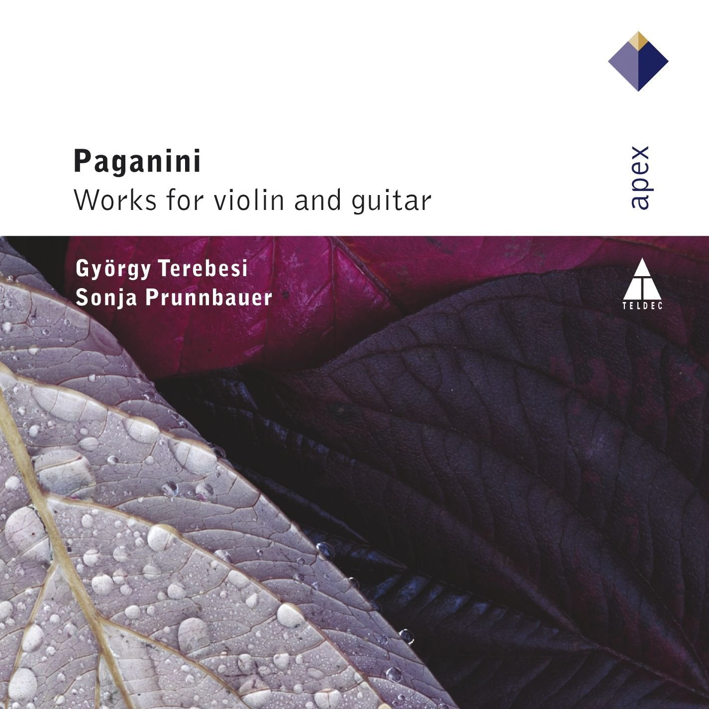 Works for Violin & Guitar Classical