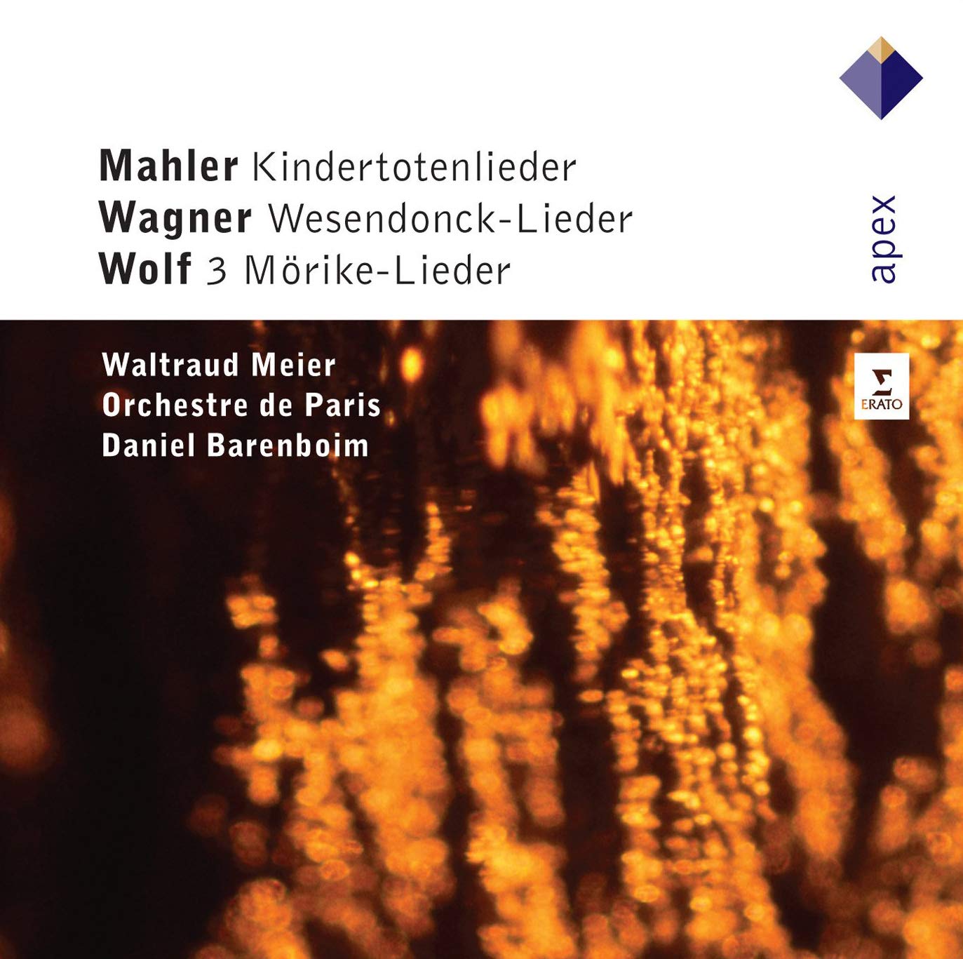 Kindertotenlieder/Wesendoncklieder/Mörike-Lieder Classical