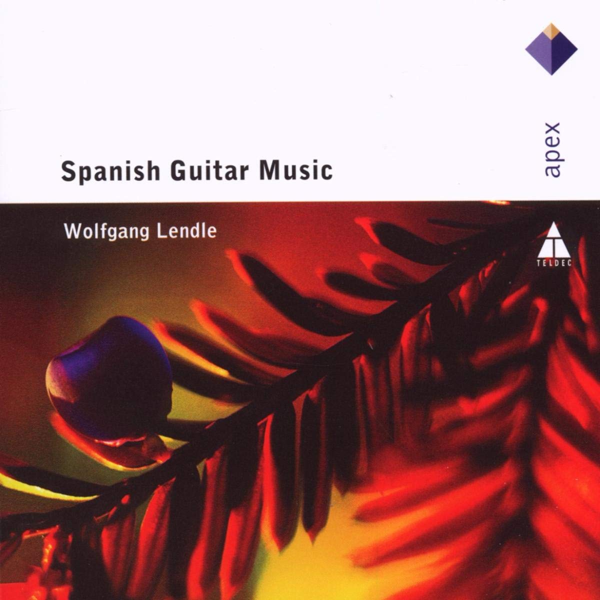 Spanish Guitar Music Classical