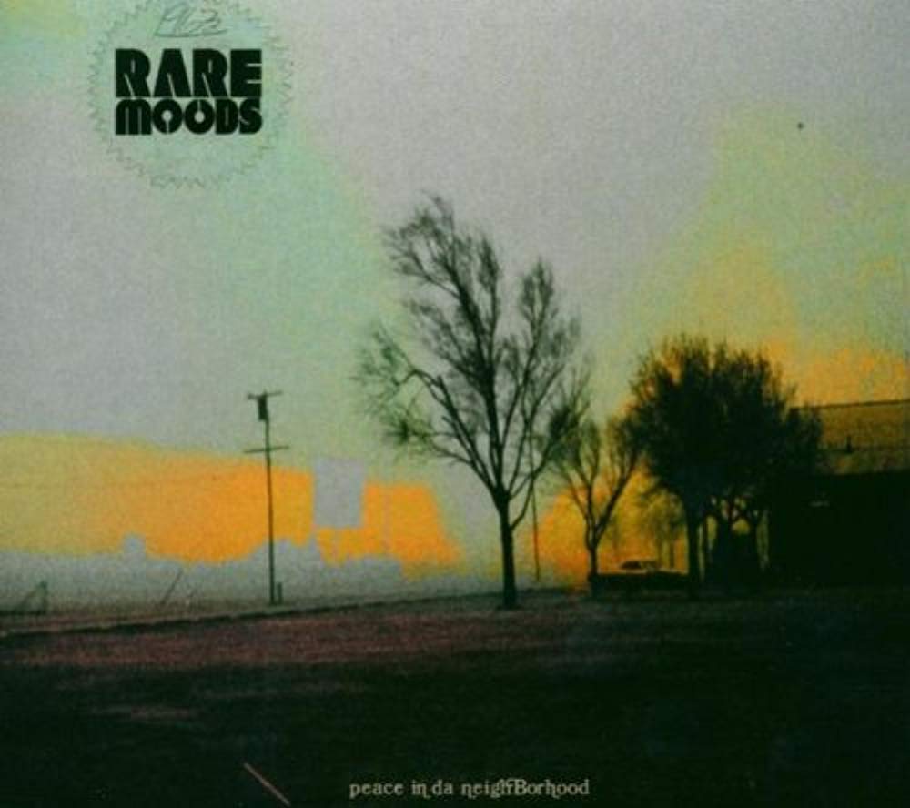Peace in Da Neighborhood Dance & Electronic