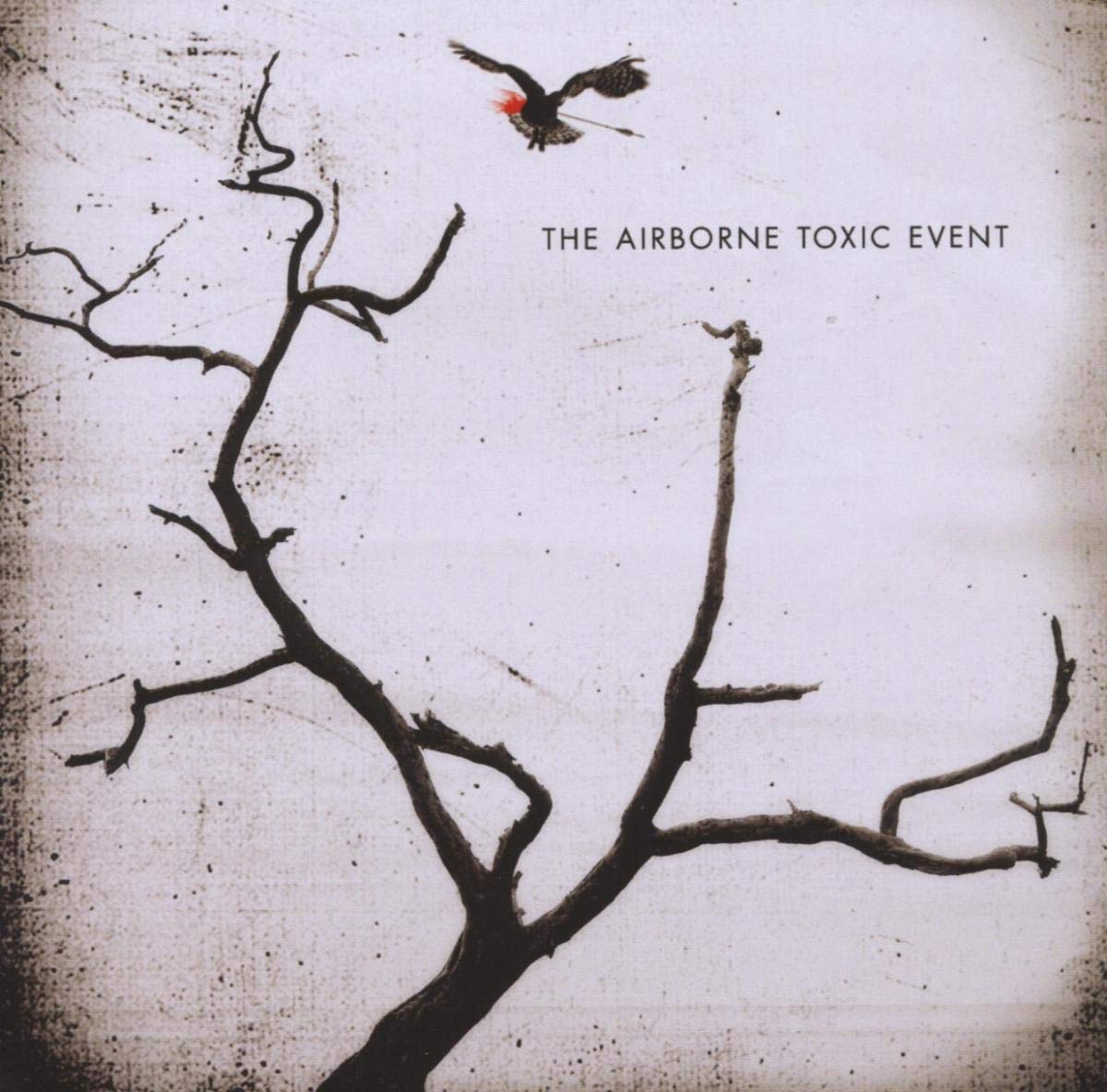 The Airborne Toxic Event Alternative & Indie