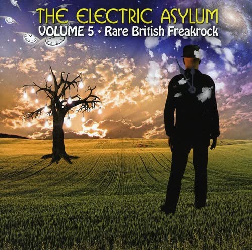 Product Image: The Electric Asylum Vol.5