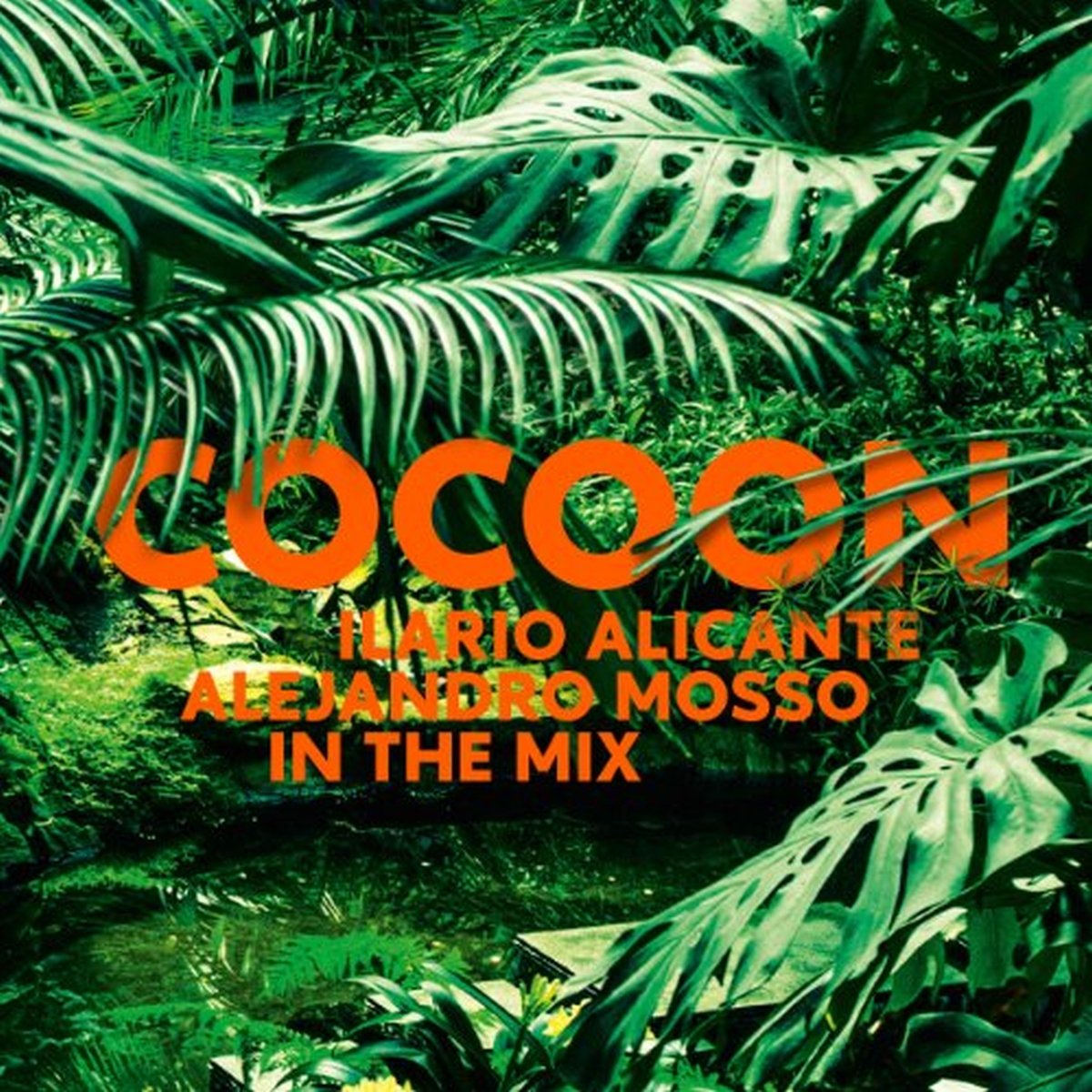 Cocoon Ibiza Mixed By Ilario Alicante Dance & Electronic