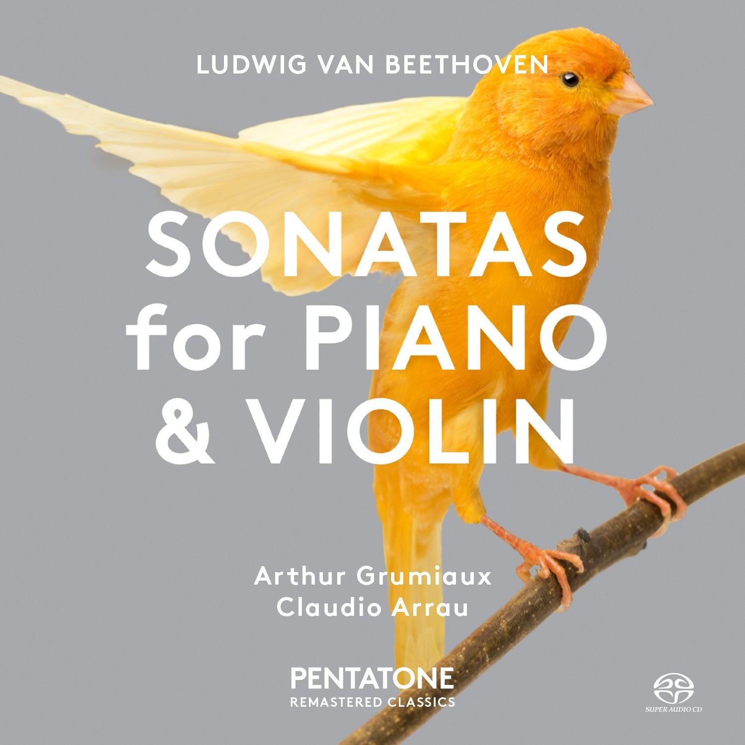 Beethoven: Violinsonaten 1 & 5 Classical