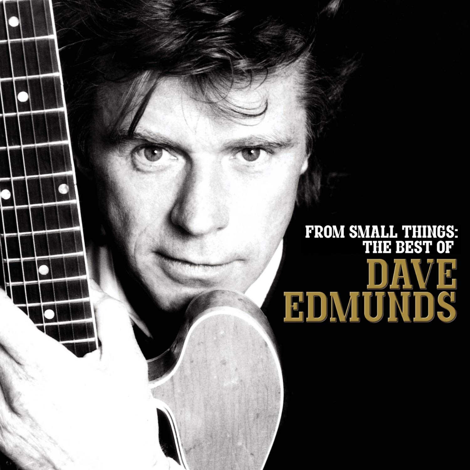 From Small Things: the Best of Pop
