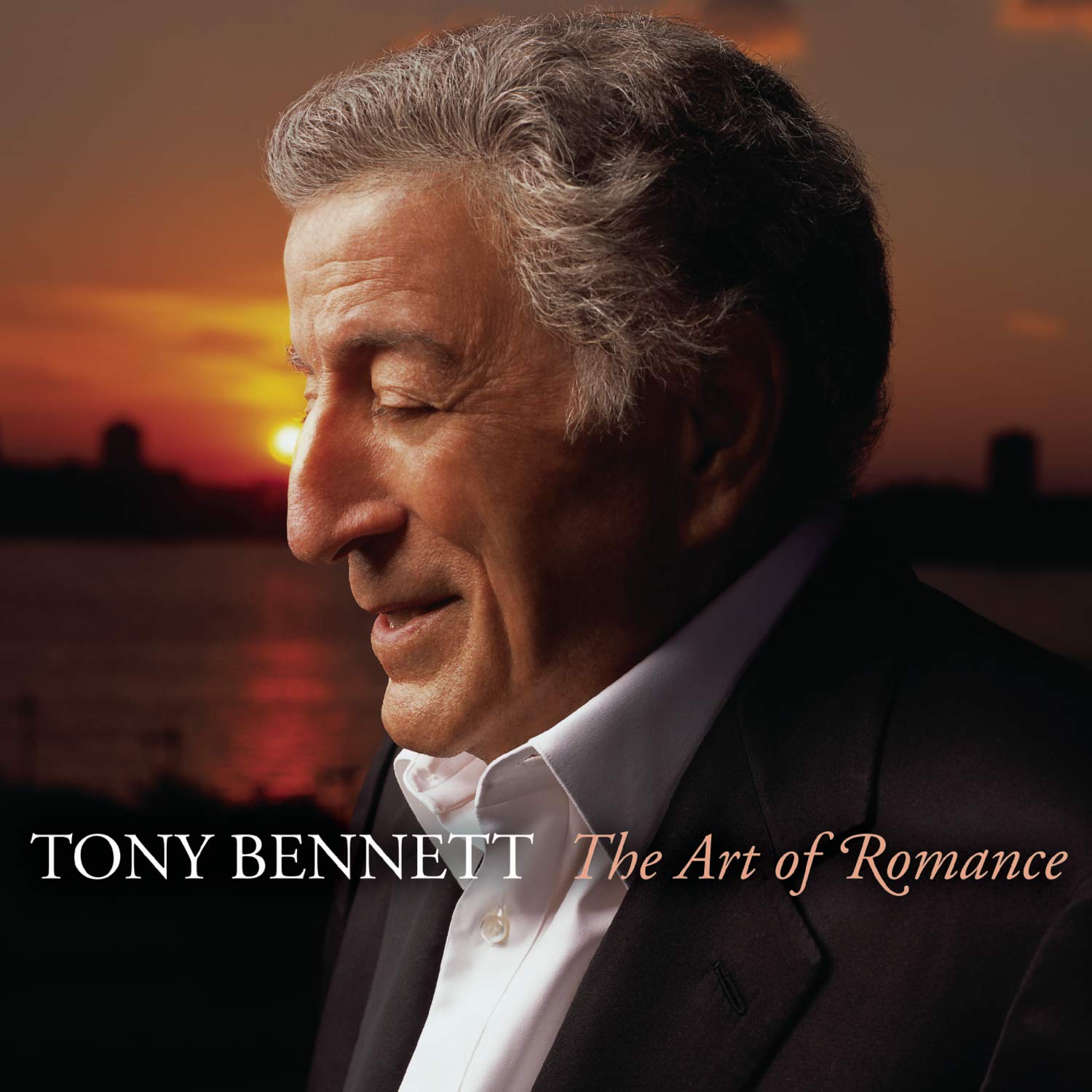 The Art of Romance Other music genres