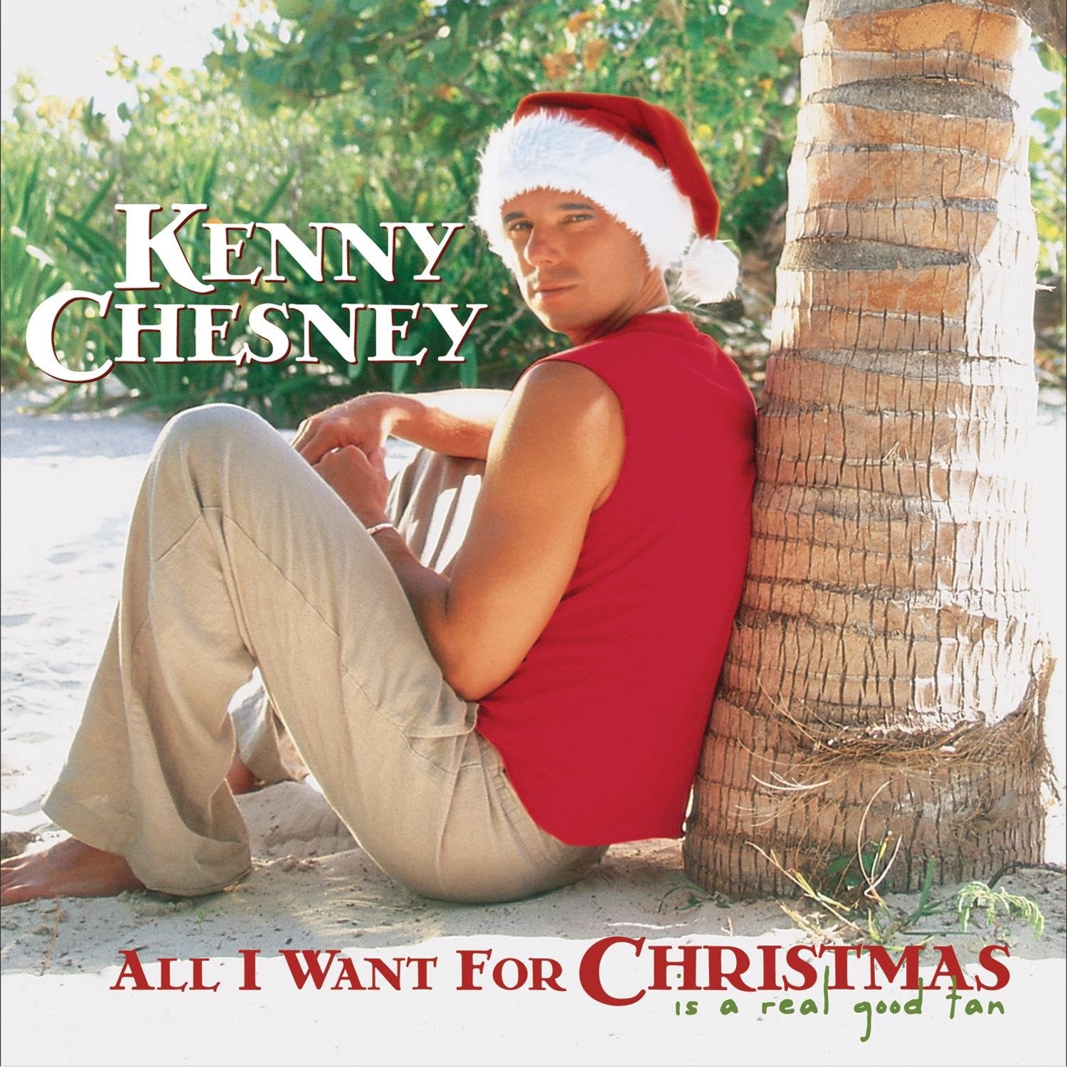 All I Want for Christmas Is a Real Good Tan Other music genres