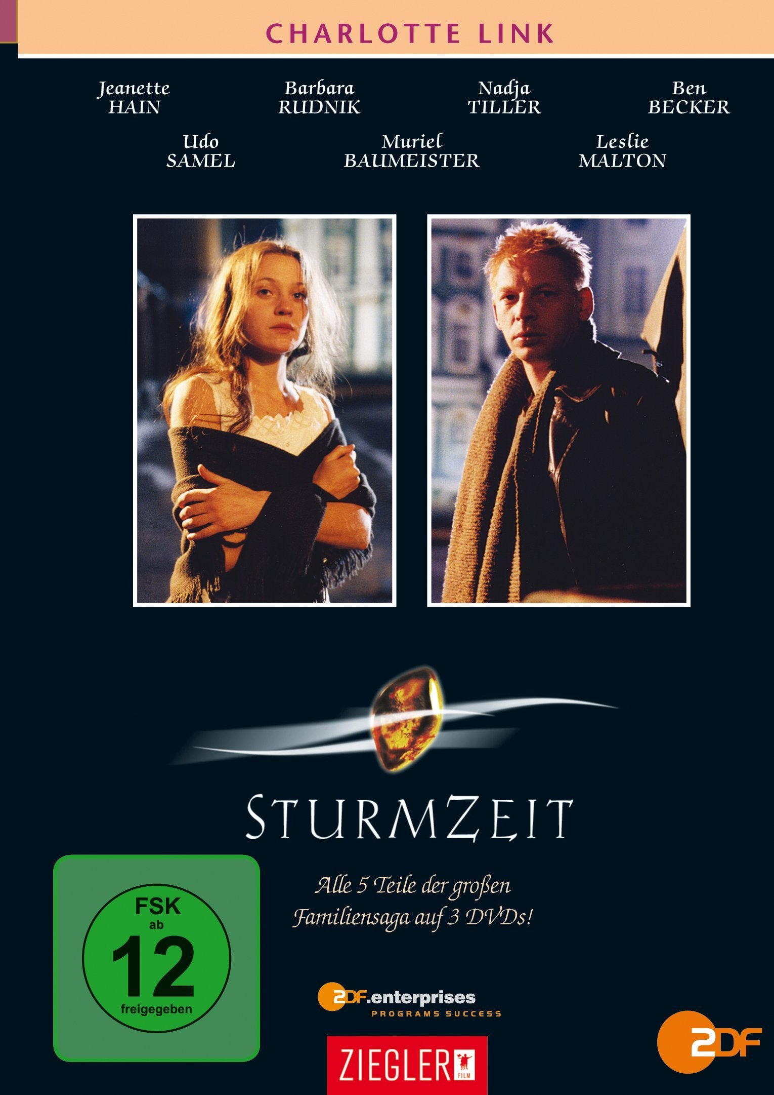 Charlotte Link - Sturmzeit Box sets