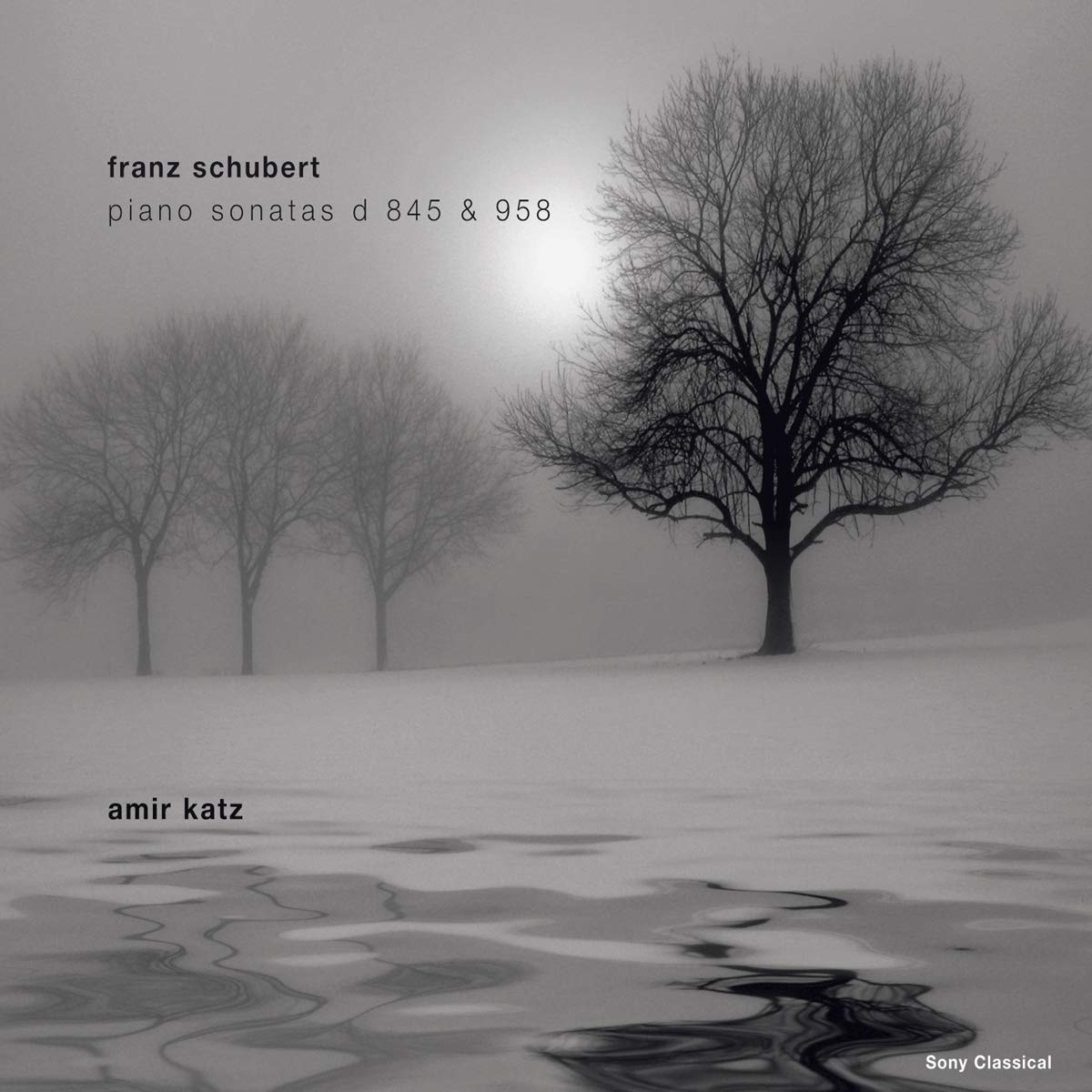 Music for You: Klaviersonaten D 845 & D 958 Classical