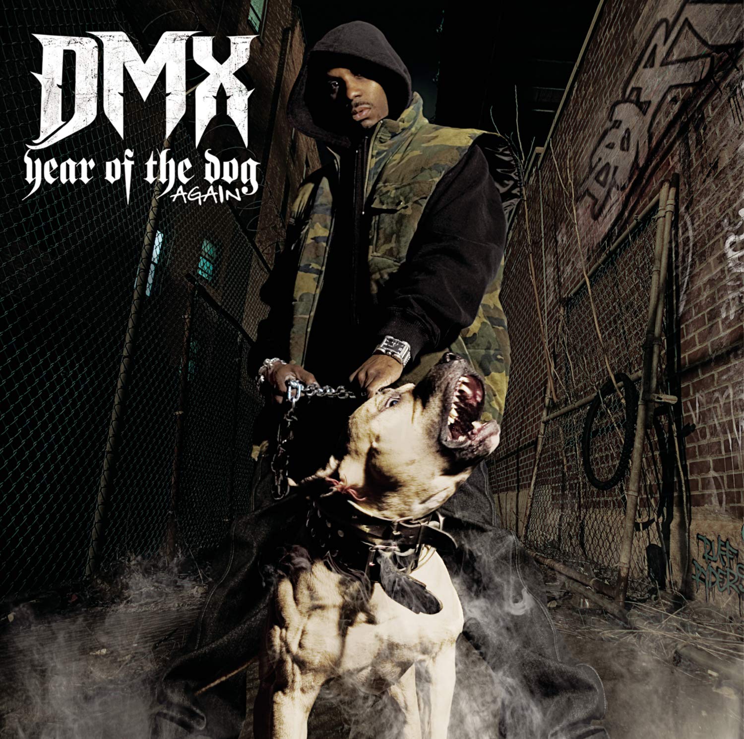 Year of The Dog Again cd