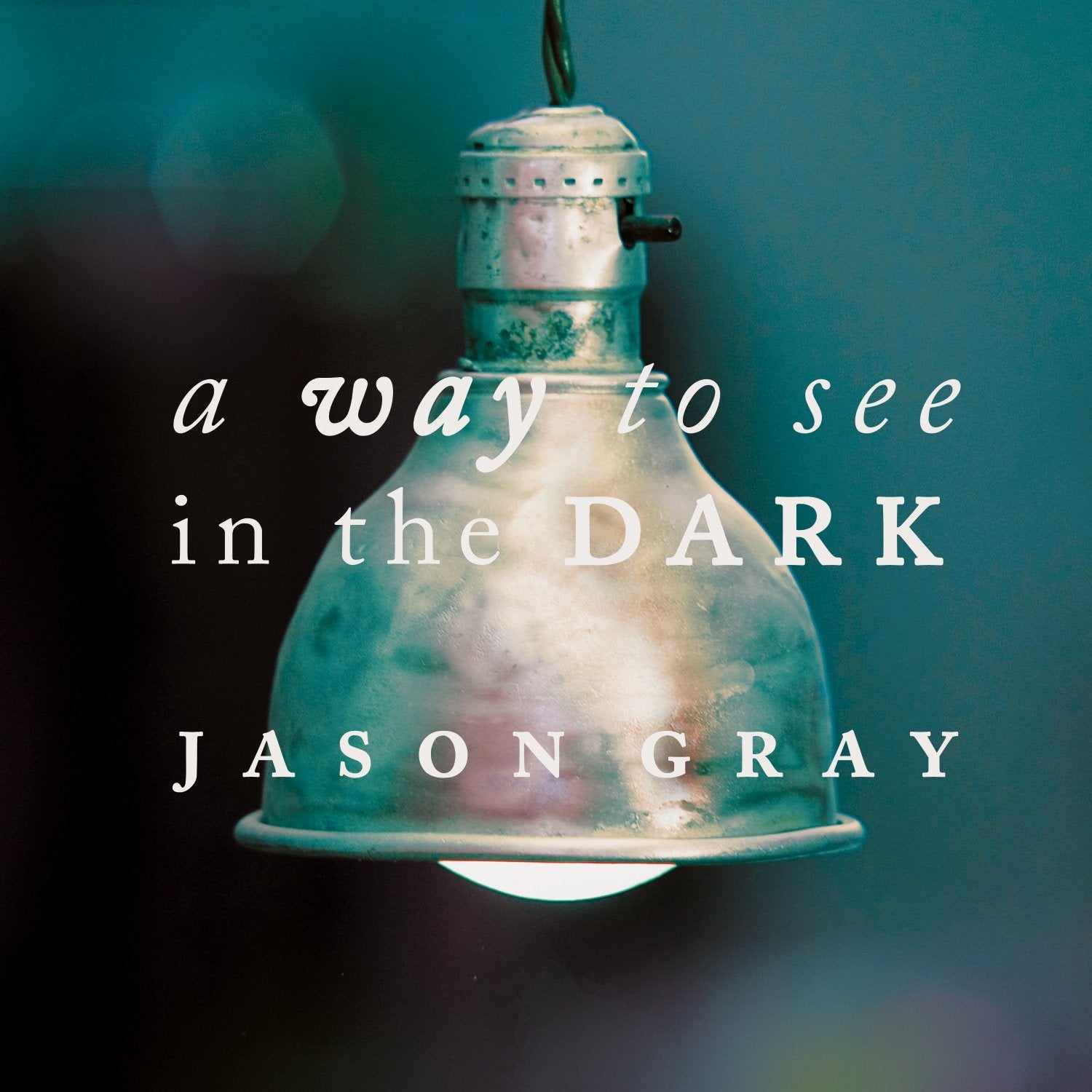 A Way to See in the Dark Books