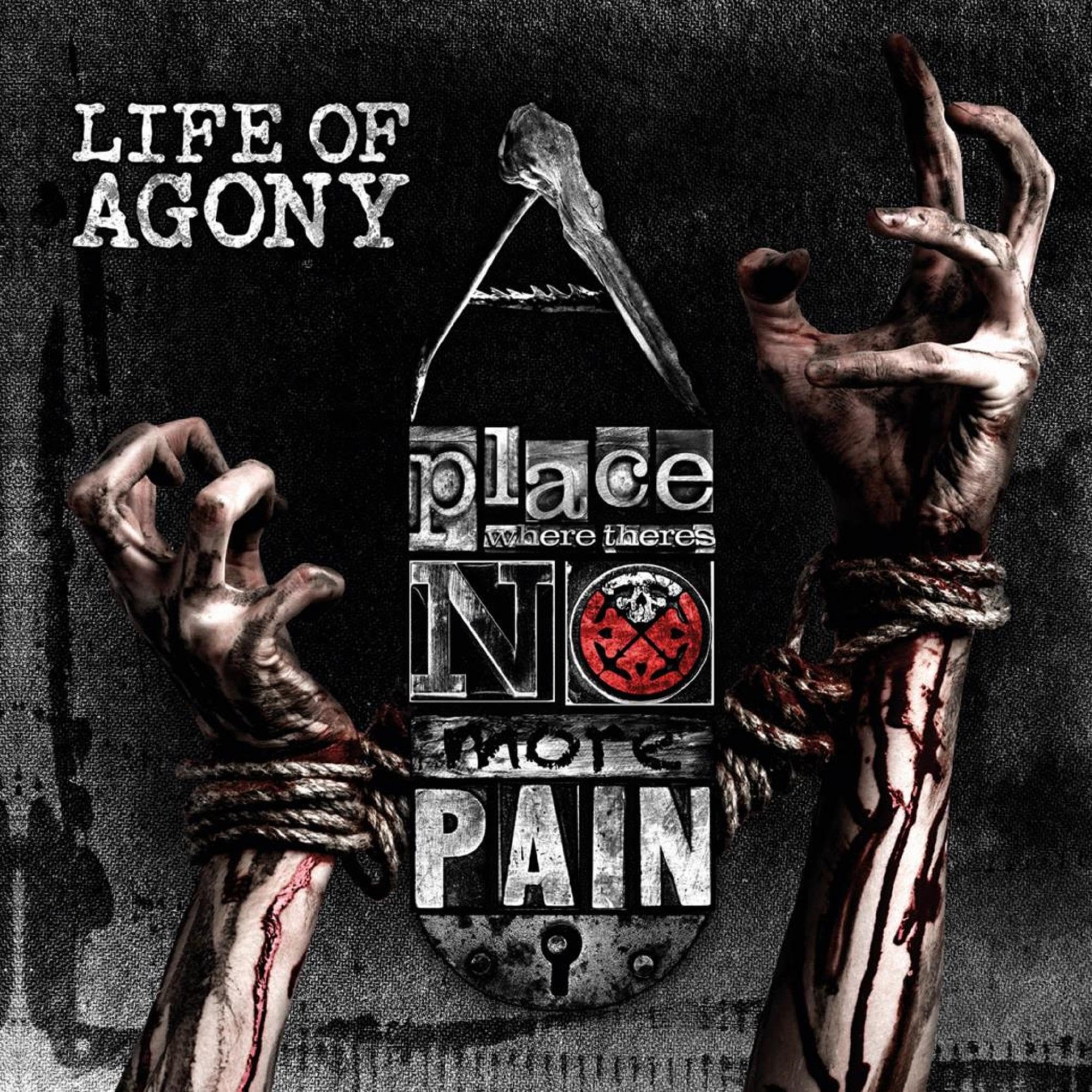 A Place Where There'S No More Pain (Black Vinyl) Metal & Hardrock