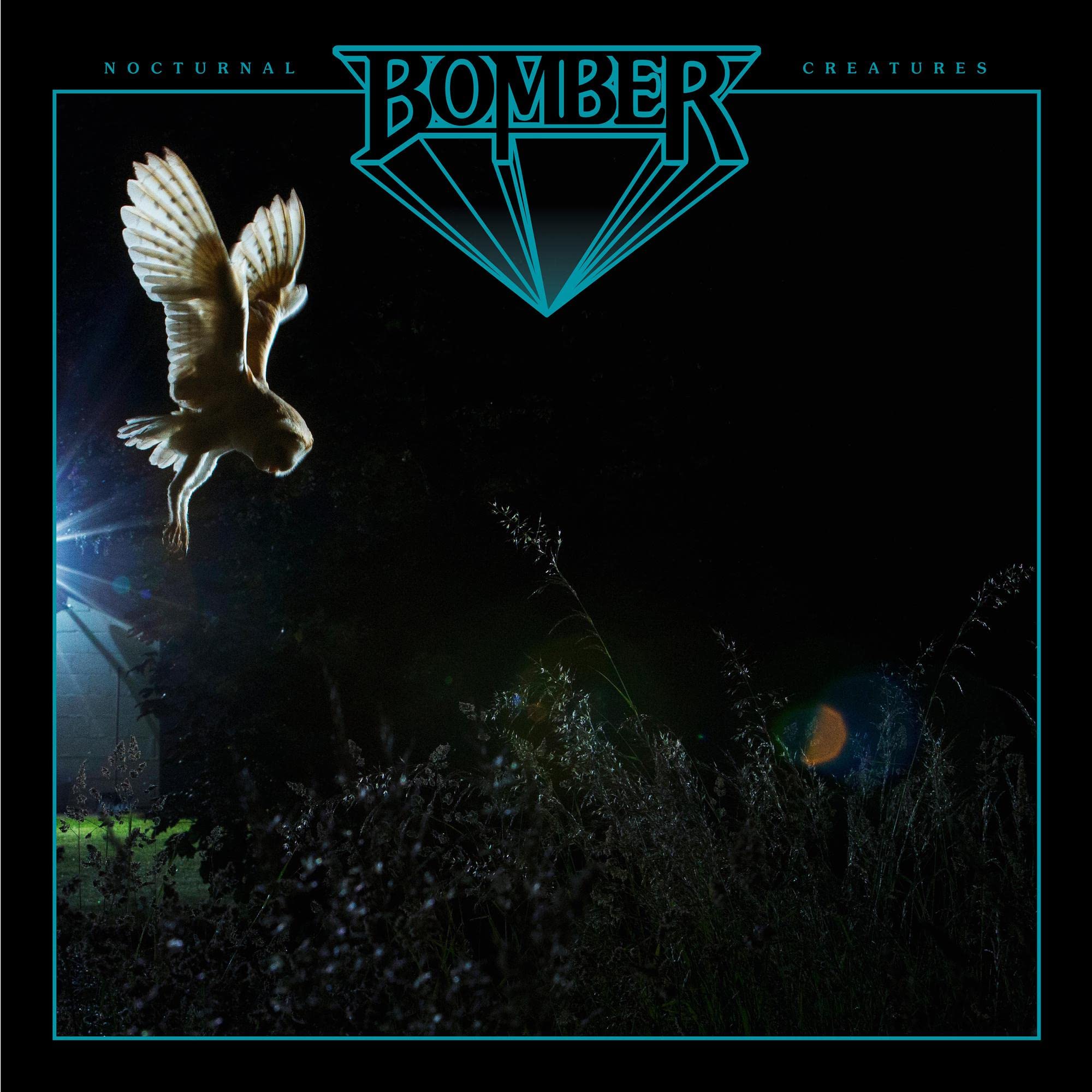 Product Image: Nocturnal Creatures ( Jewel Case )