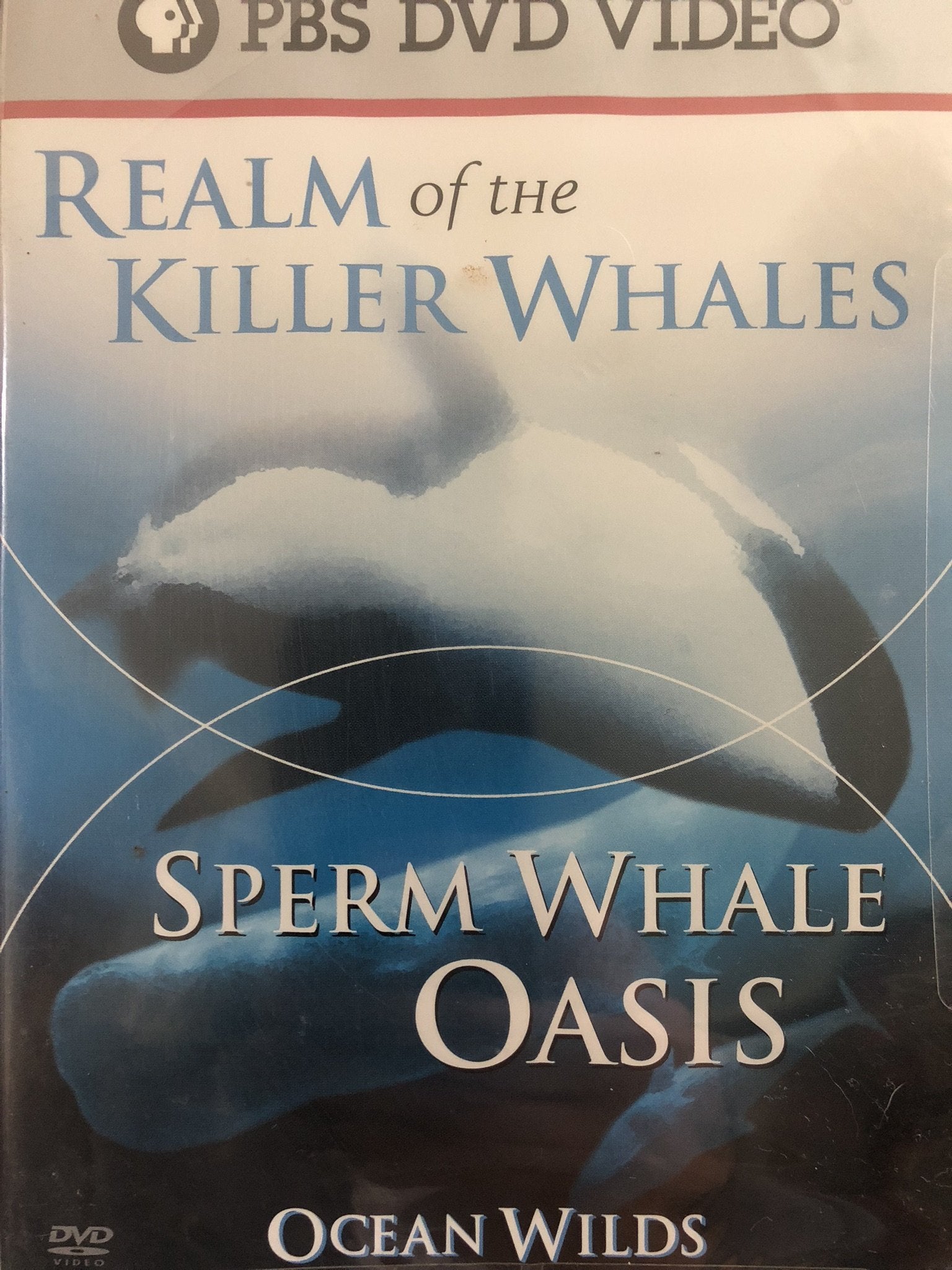 Ocean Wild: Realm of Killer Whales & Sperm Films