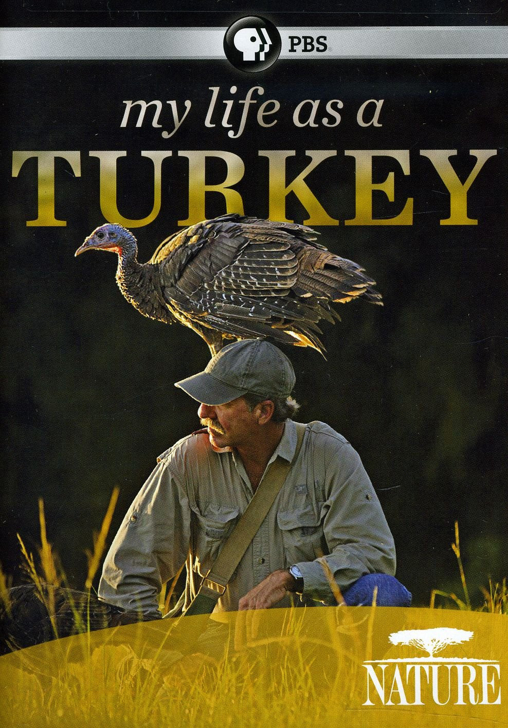 Nature: My Life As A Turkey Films