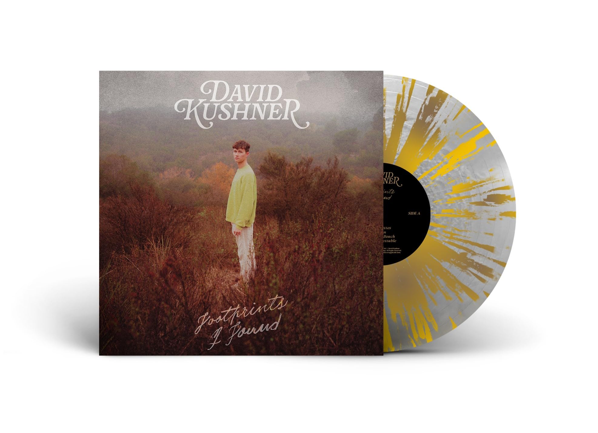 Footprints I Found (Vinyl) Pop