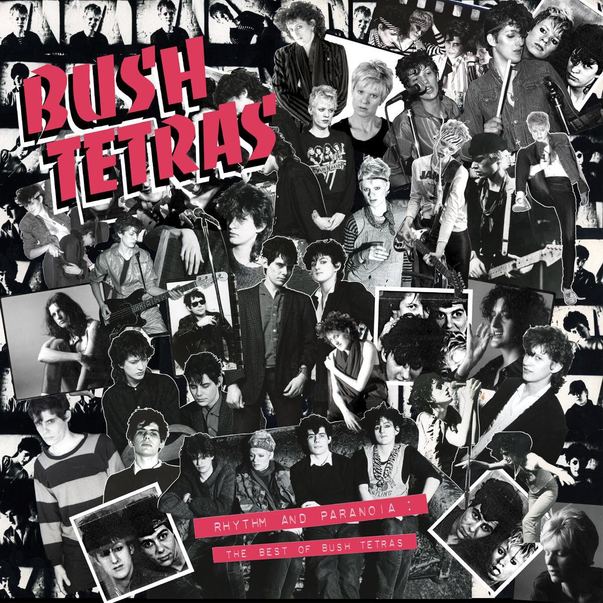 Rhythm And Paranoia: The Best Of Bush Tetras Alternative & Indie