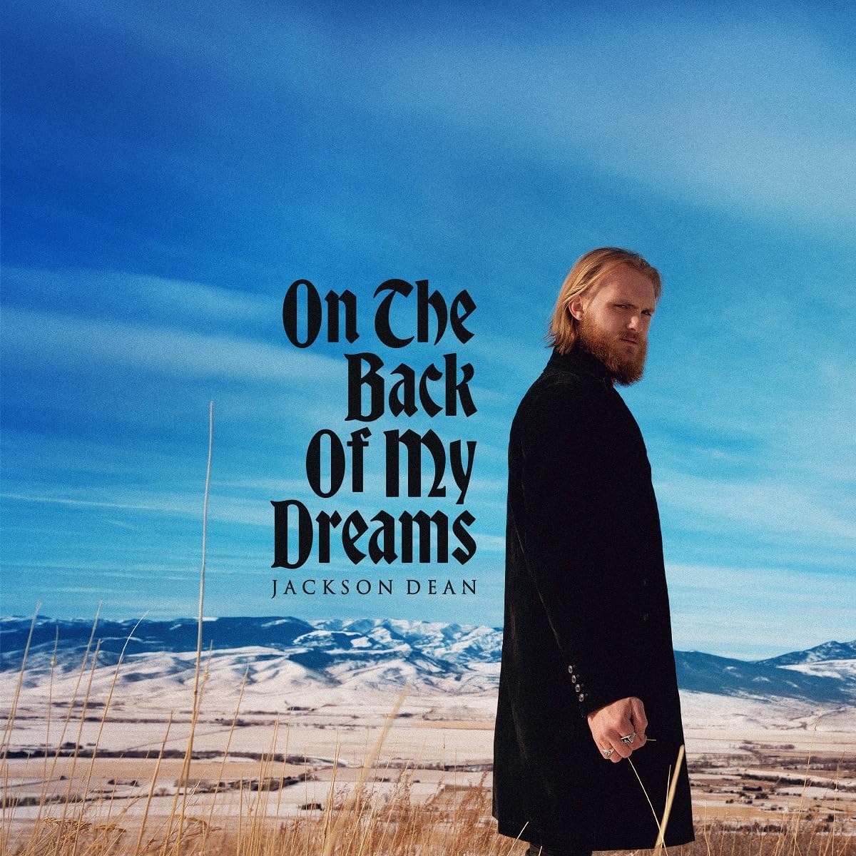 ON THE BACK OF MY DREAMS (MYSTIC SMOKE VINYL/2LP) cd