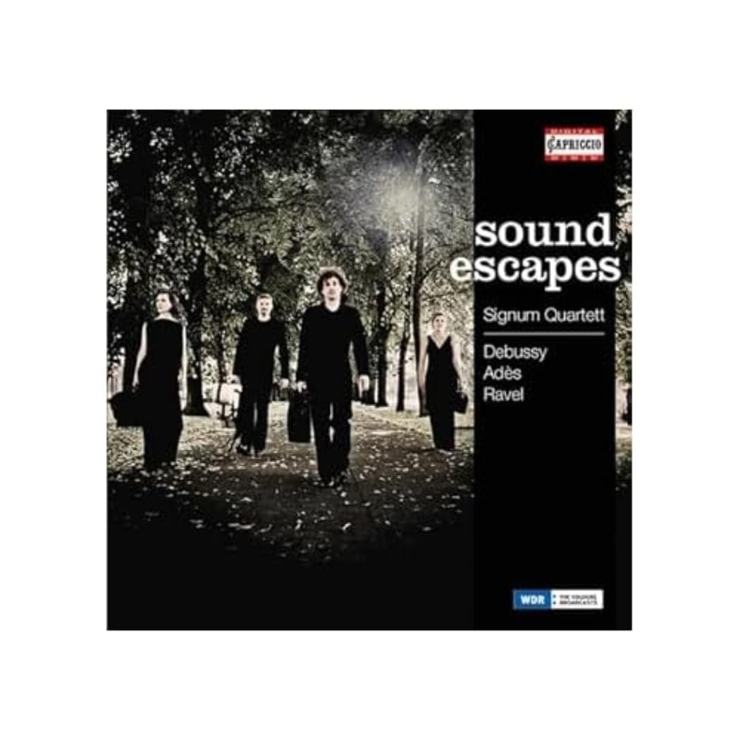 Product Image: Soundescapes