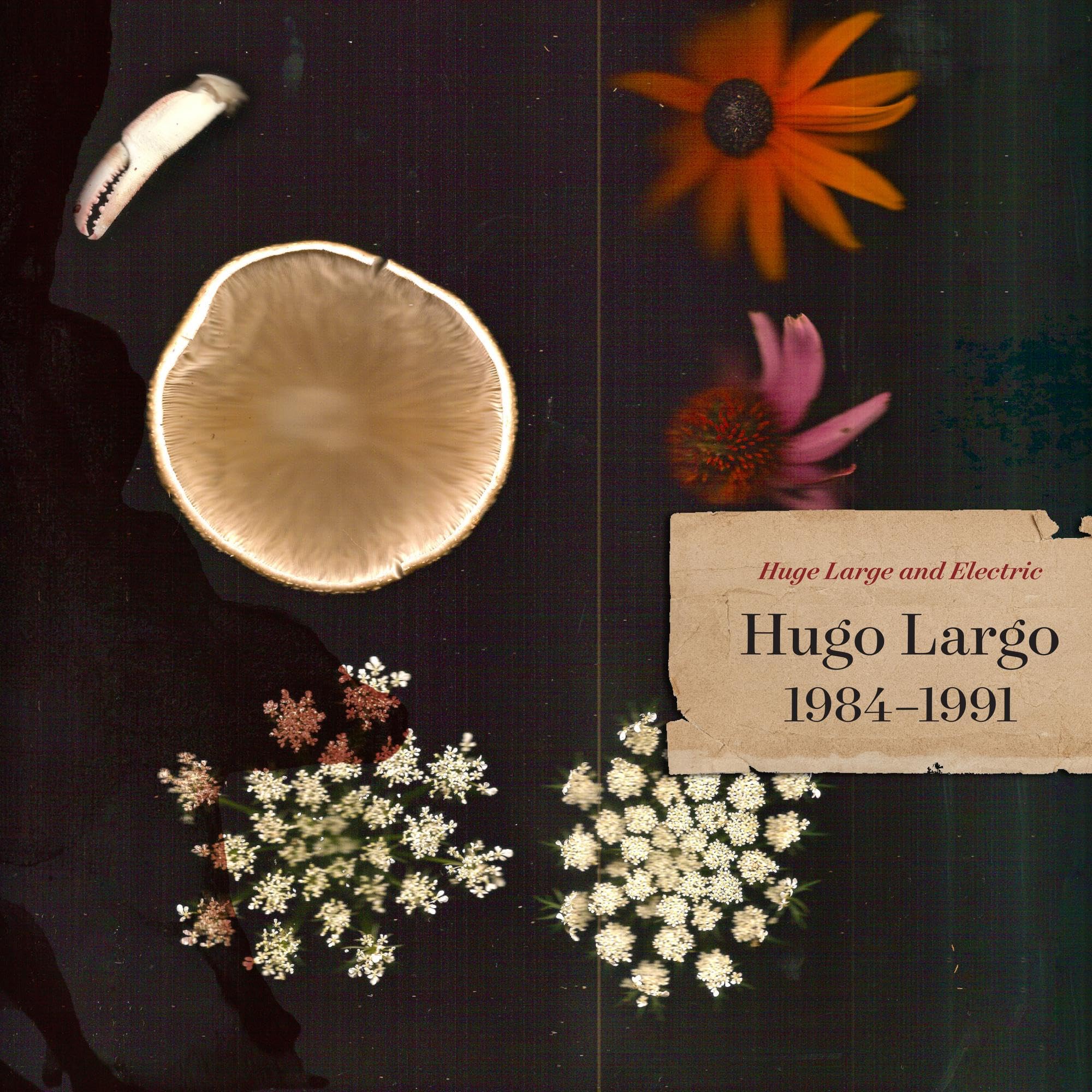 Huge, Large and Electric: Hugo Largo 1984-1991 Alternative & Indie