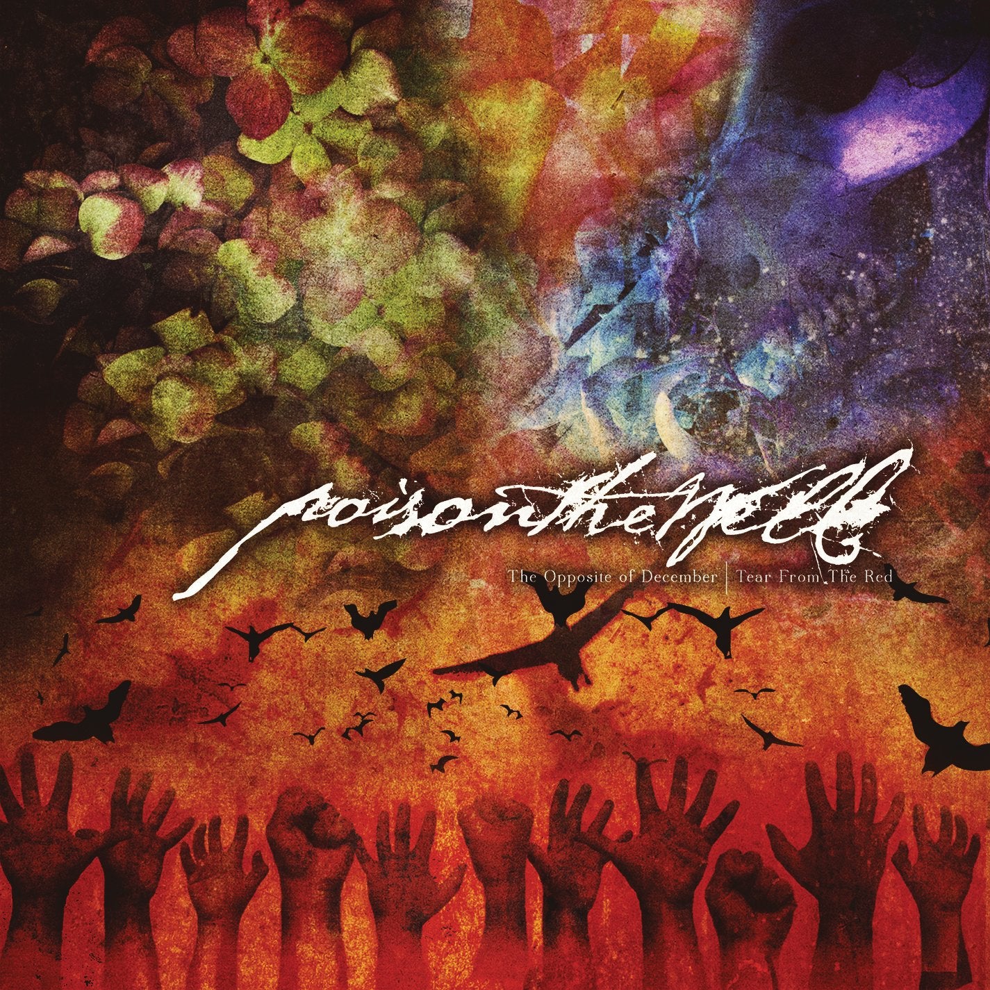The Opposite of December/Tear from the Red Metal & Hardrock