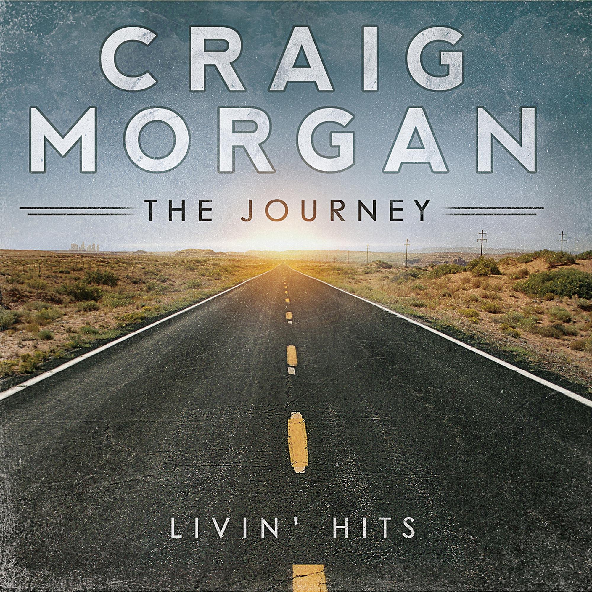 Product Image: Journey (Livin Hits)
