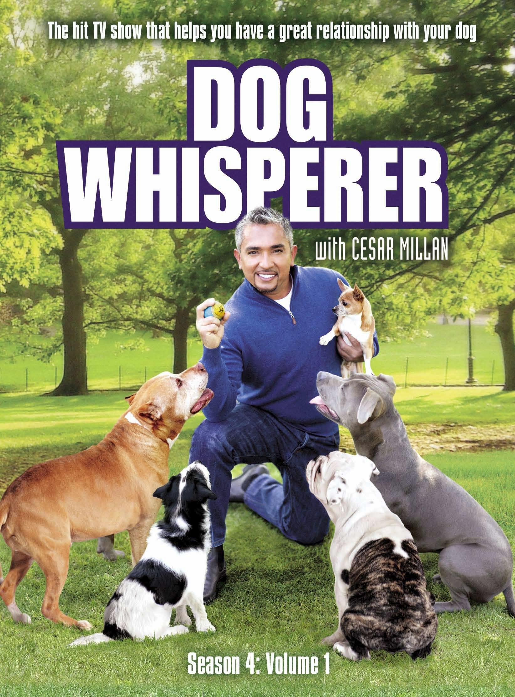 Dog Whisperer with Cesar Millan: Season 4, Vol. 1 (2010) Cesar Millan (japan import) Box sets