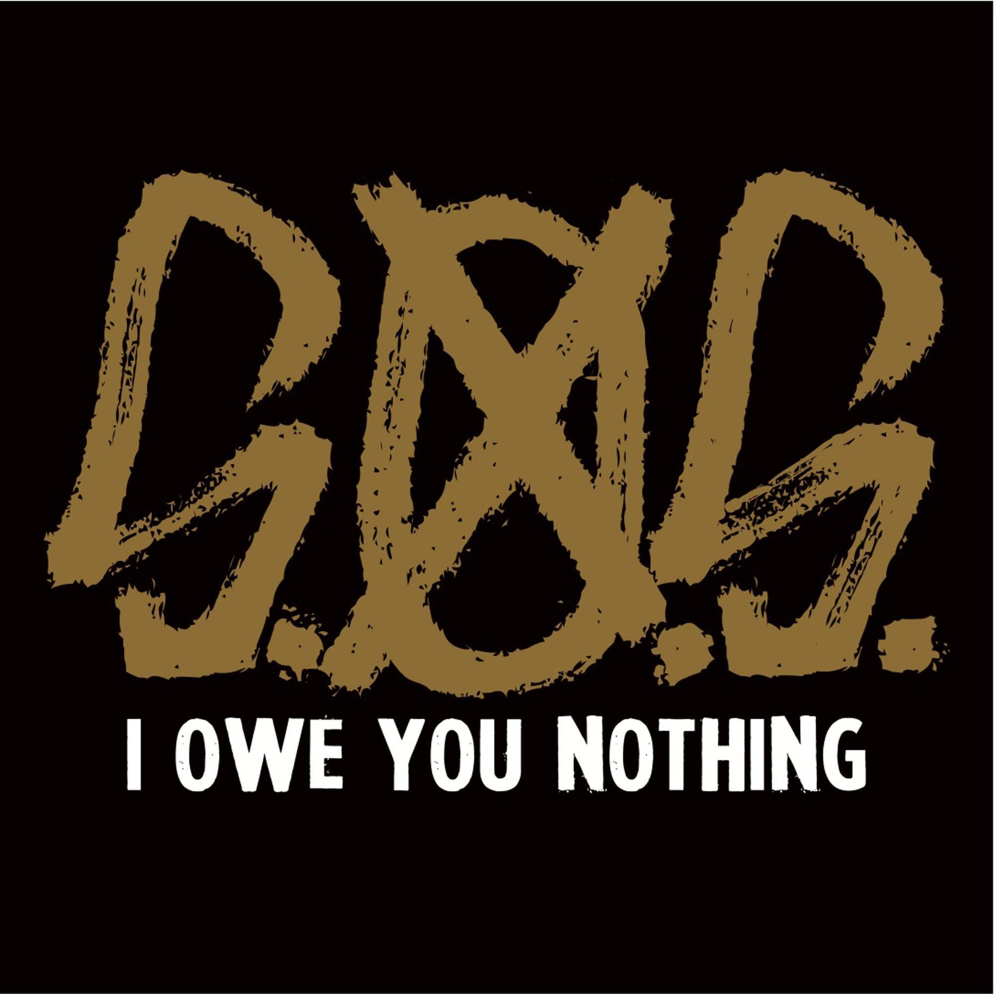 Product Image: I Owe You Nothing