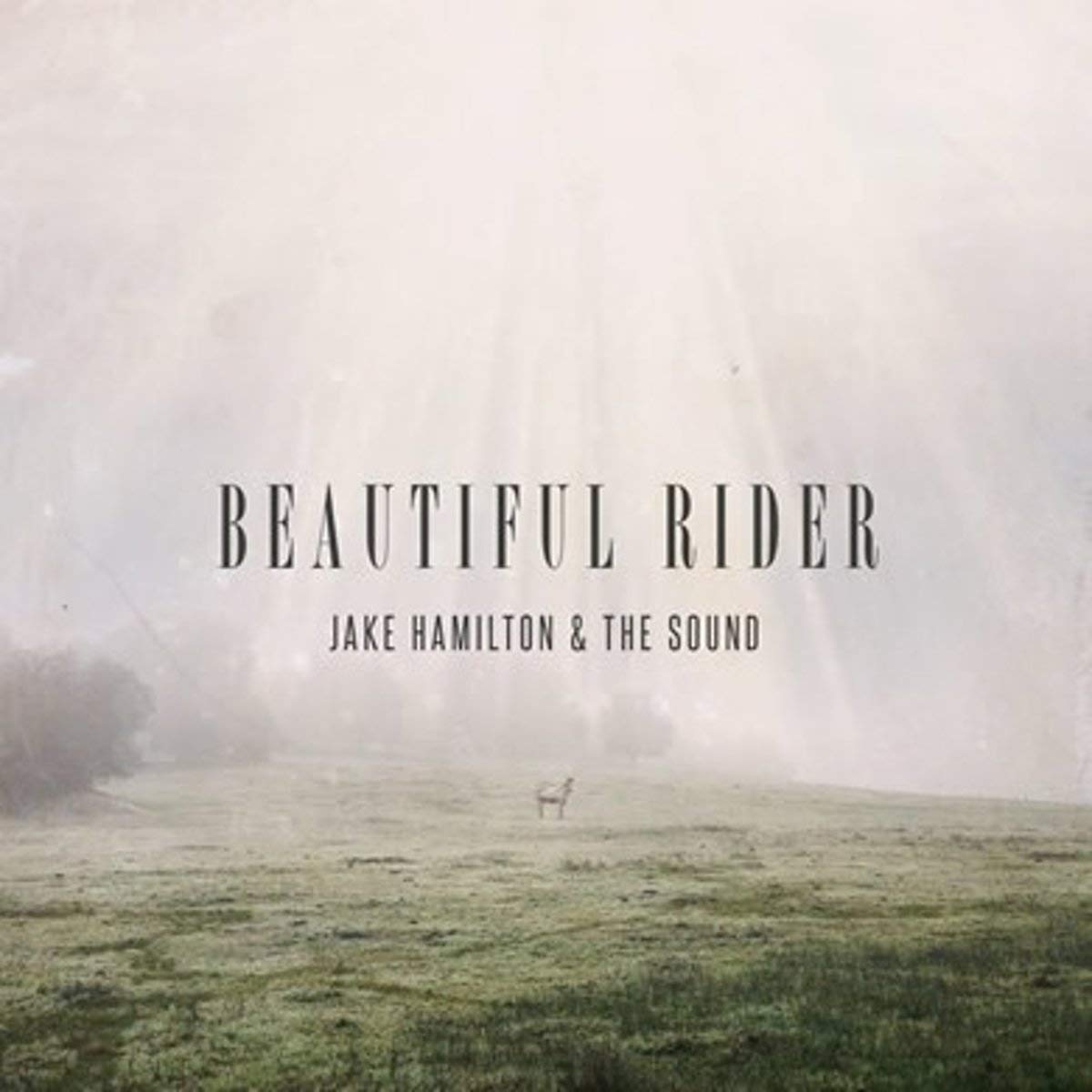 Product Image: Jake Hamilton - Beautiful Rider