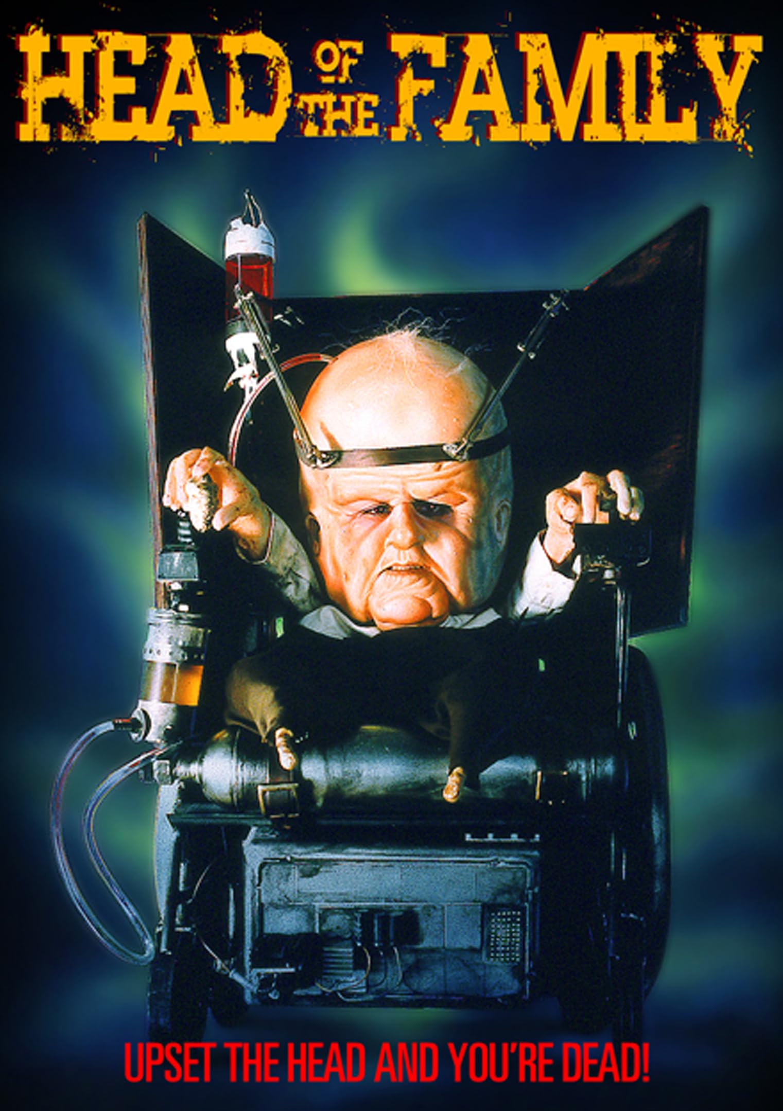 Head Of The Family Films