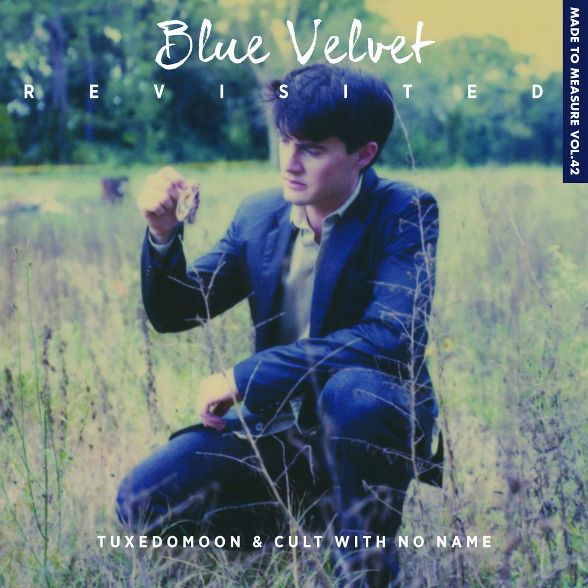 Blue Velvet Revisited Pop