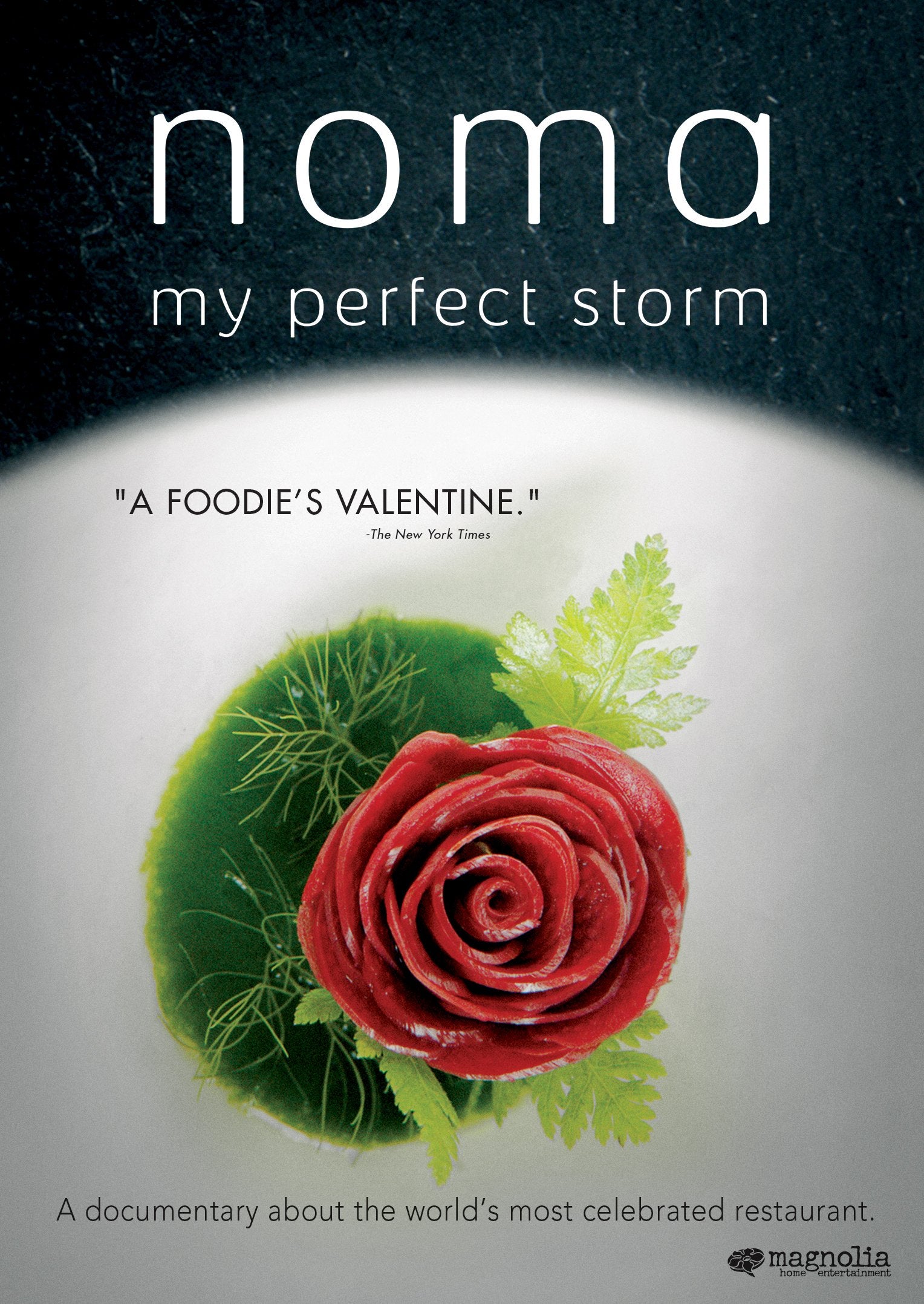 Noma: My Perfect Storm Movies