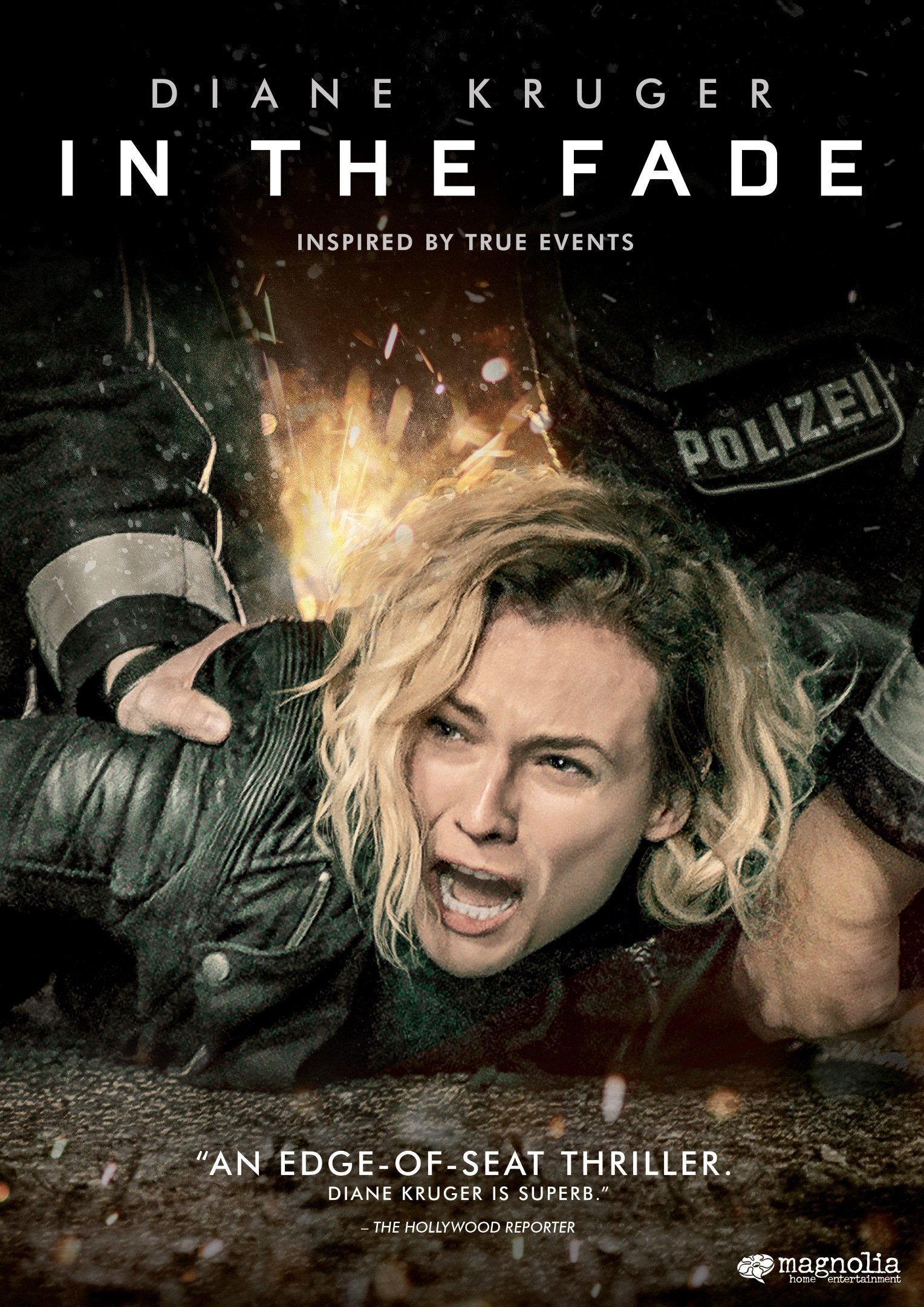 IN THE FADE - IN THE FADE (1 DVD) Films