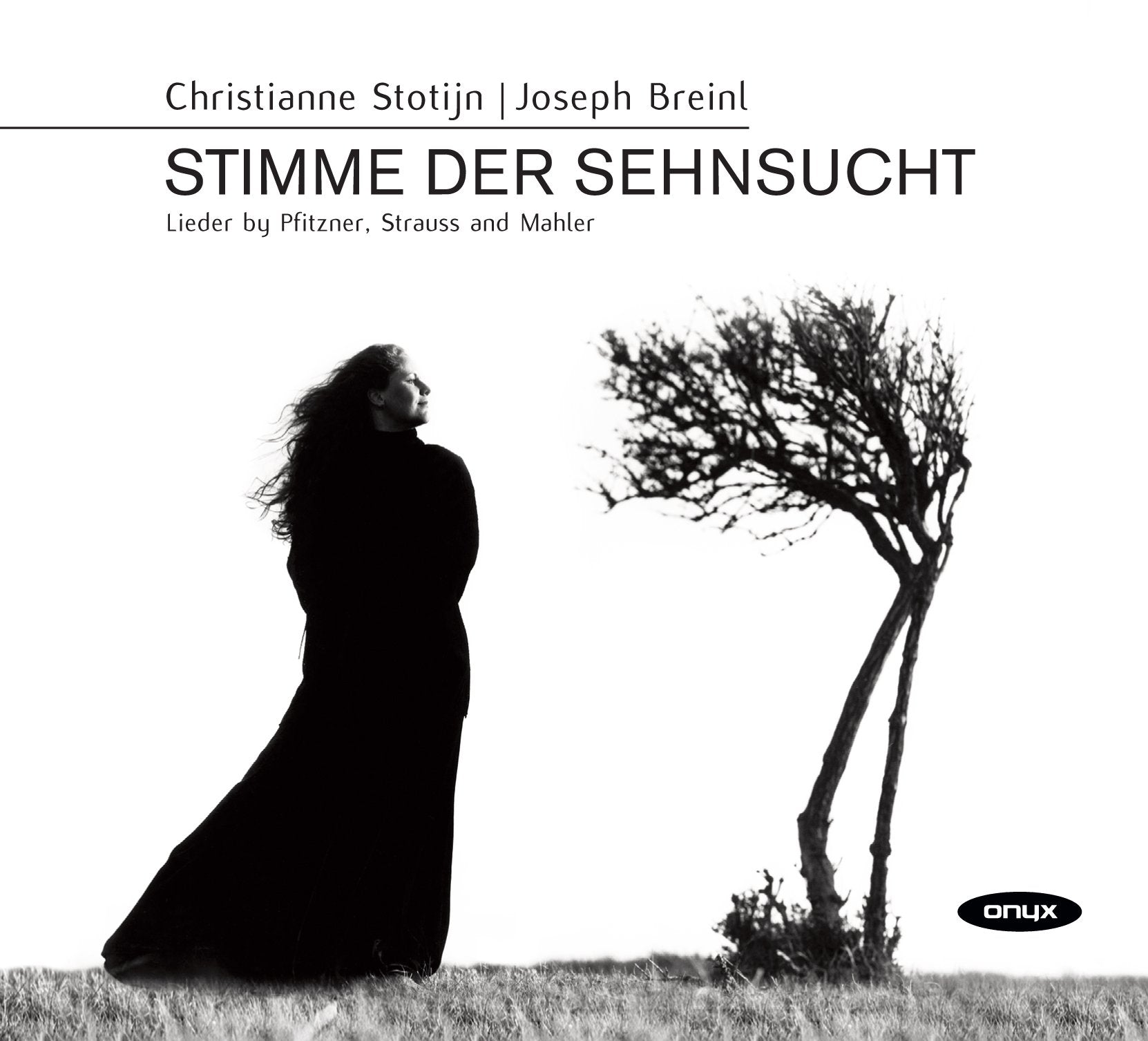 Stimme der Sehnsucht - Lieder von Pfitzner, Strauss, Mahler Classical