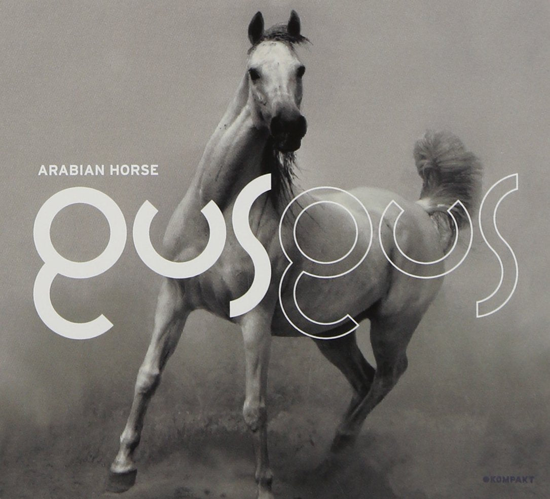 Product Image: Arabian Horse