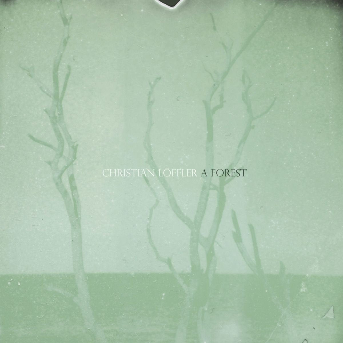 A Forest Dance & Electronic