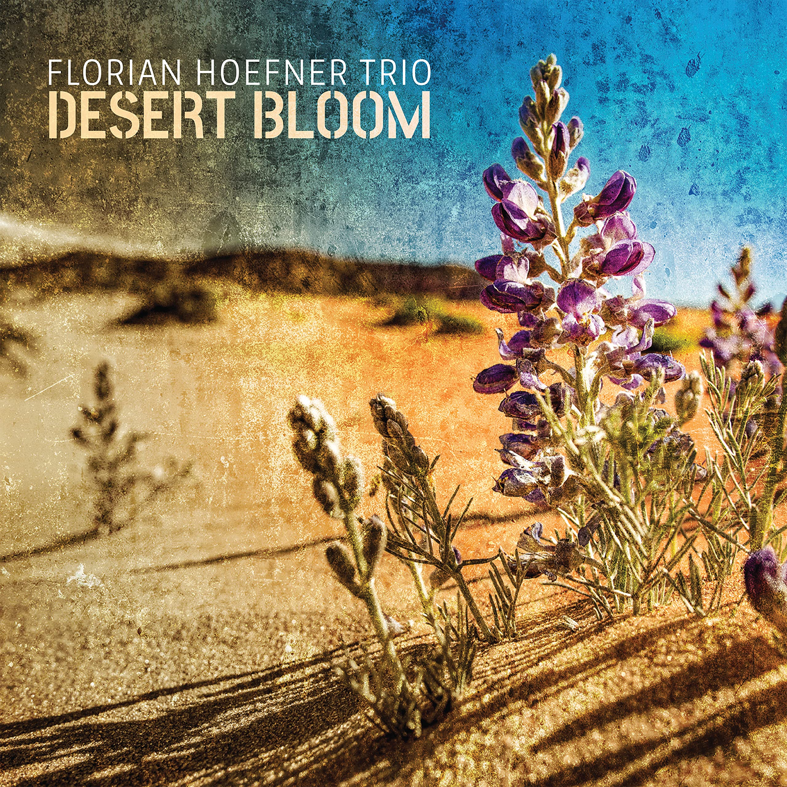 Product Image: Desert Bloom