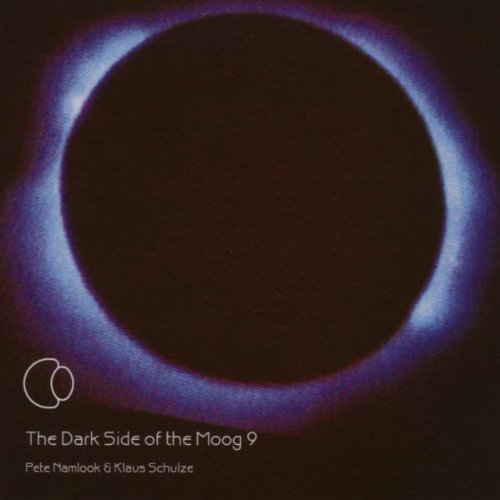 The Dark Side of the Moog 9 Other music genres