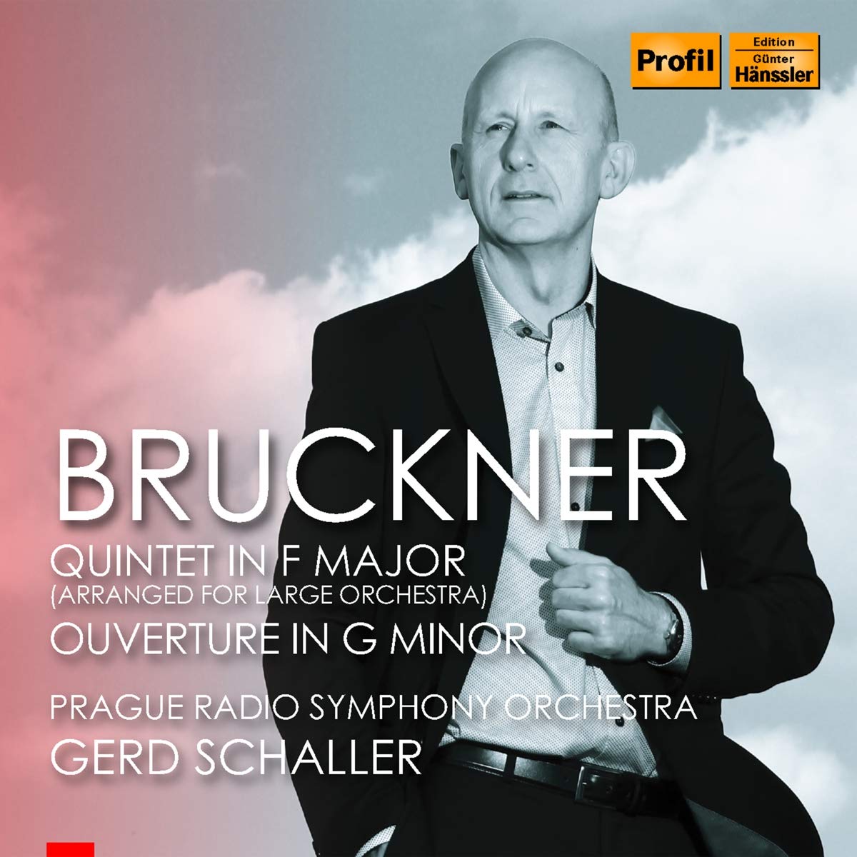 Bruckner: Quintet in f major for large Classical