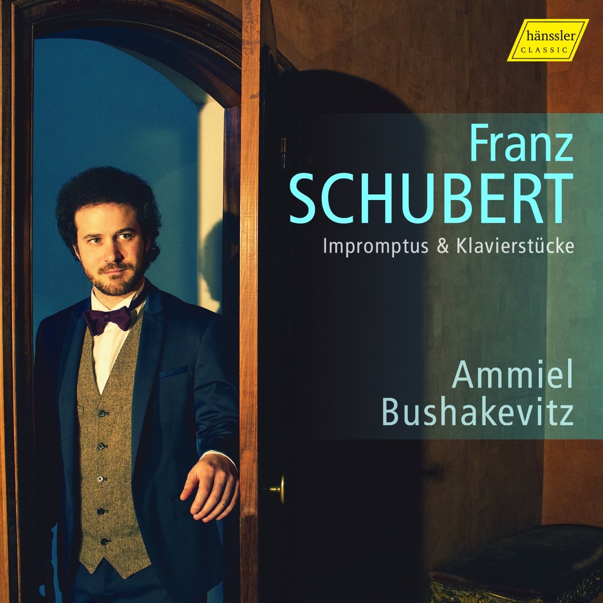 Bushakevitz, A: Impromptus & Klavierstücke Classical