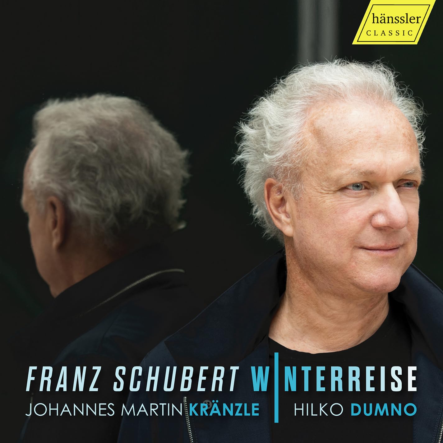 Winterreise D911, Op. 89 Classical