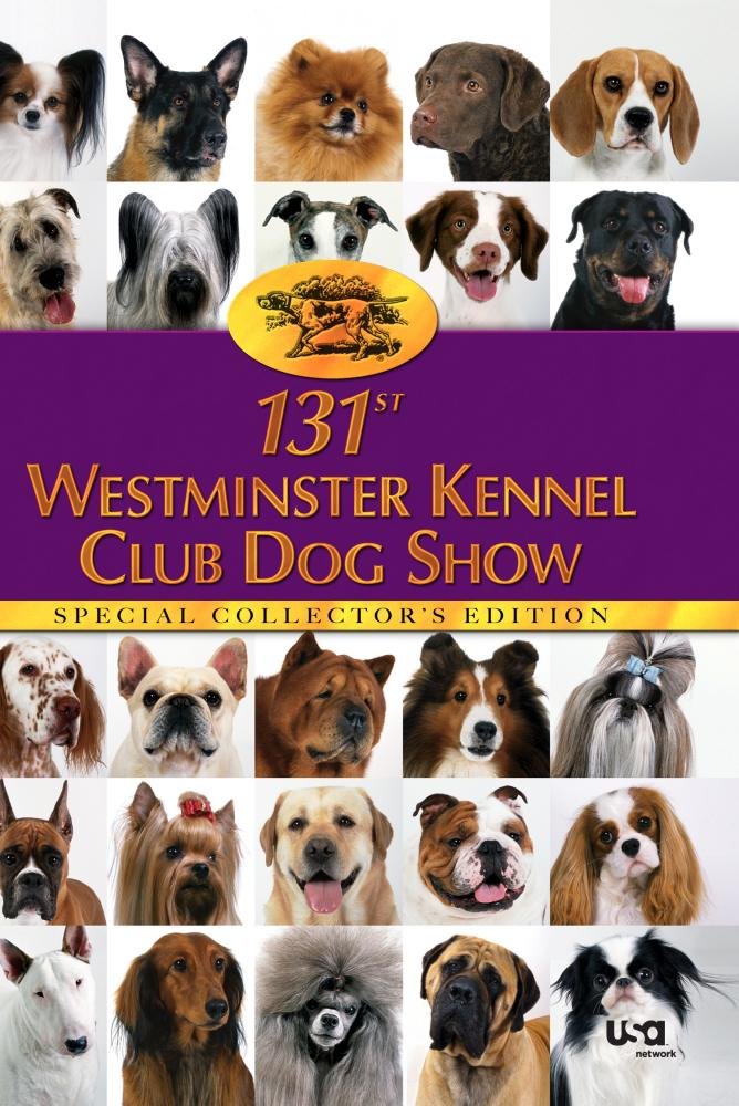 The 131st Westminster Kennel Club Dog Show Films