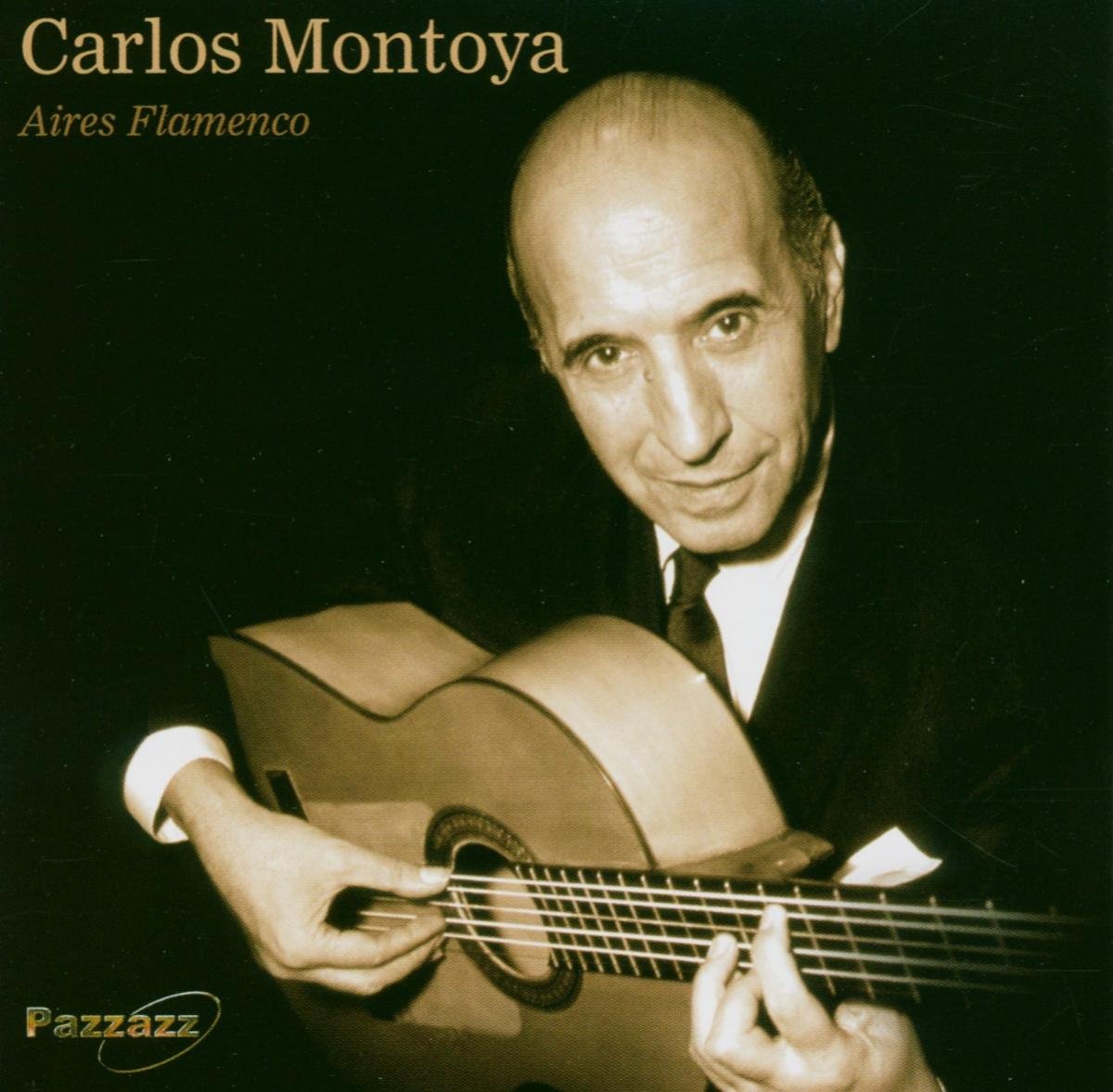 Aires Flamenco World Music