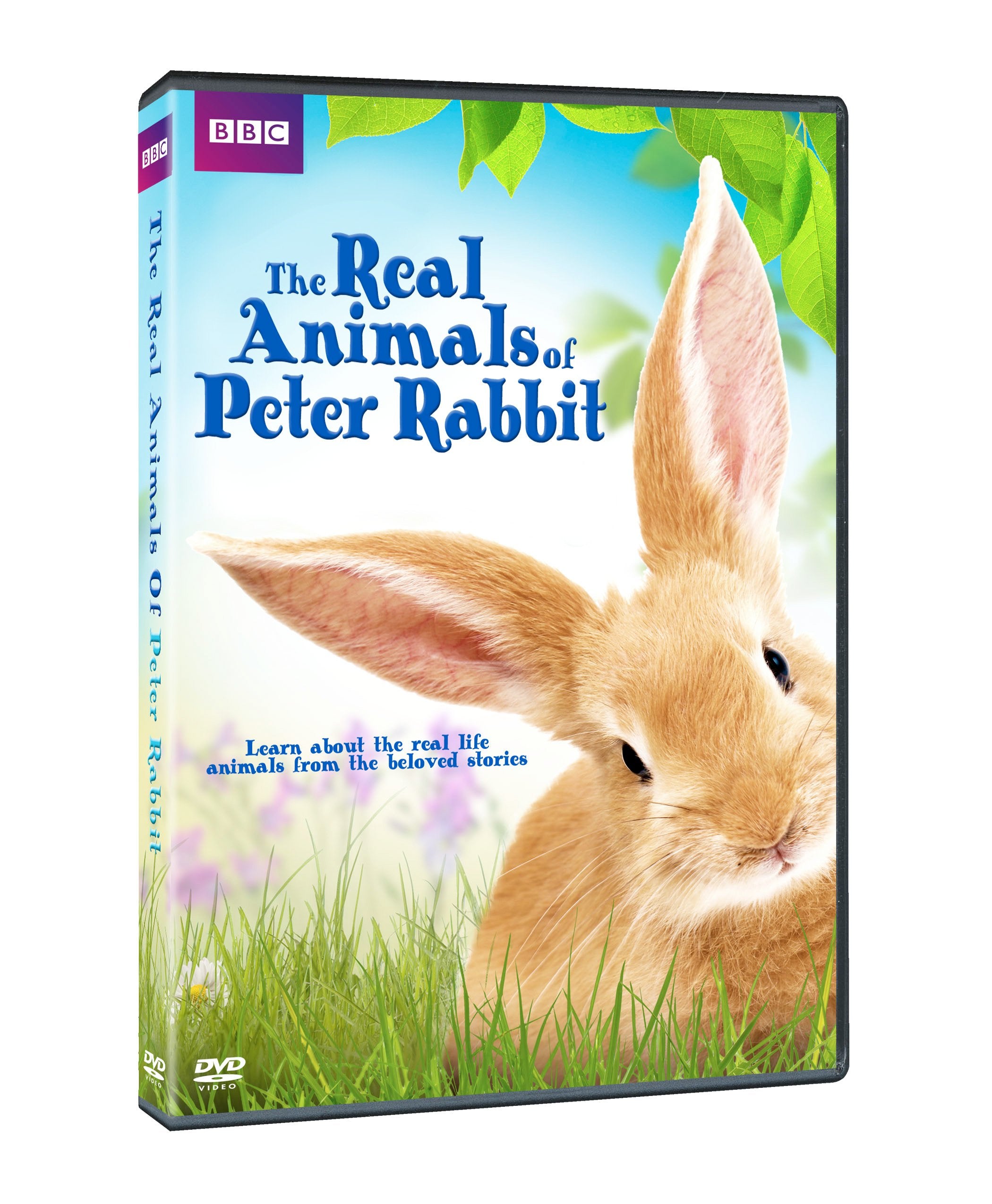 REAL ANIMALS OF PETER RABBIT - REAL ANIMALS OF PETER RABBIT (1 DVD) Films