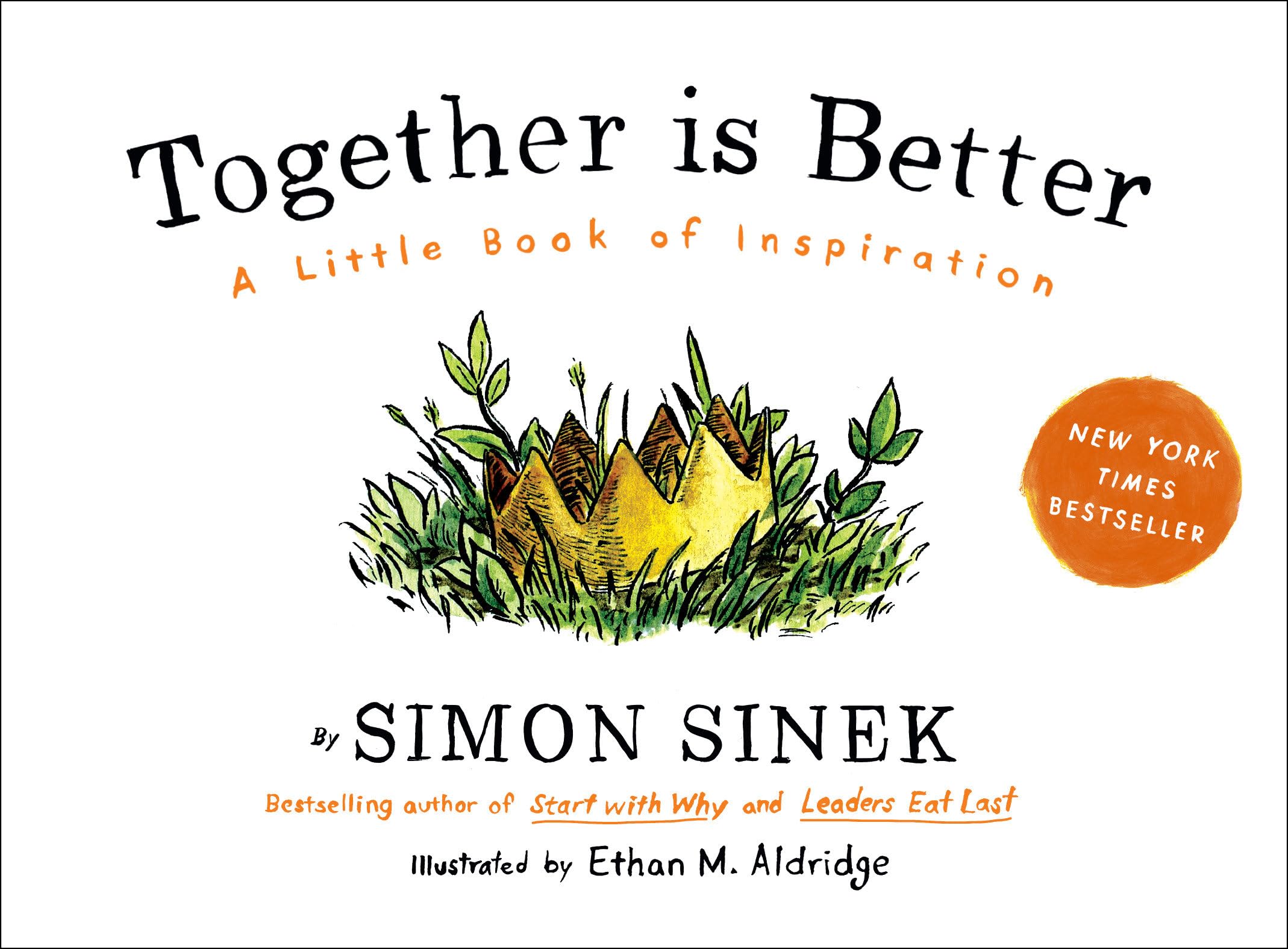 Together Is Better: A Little Book of Inspiration Law